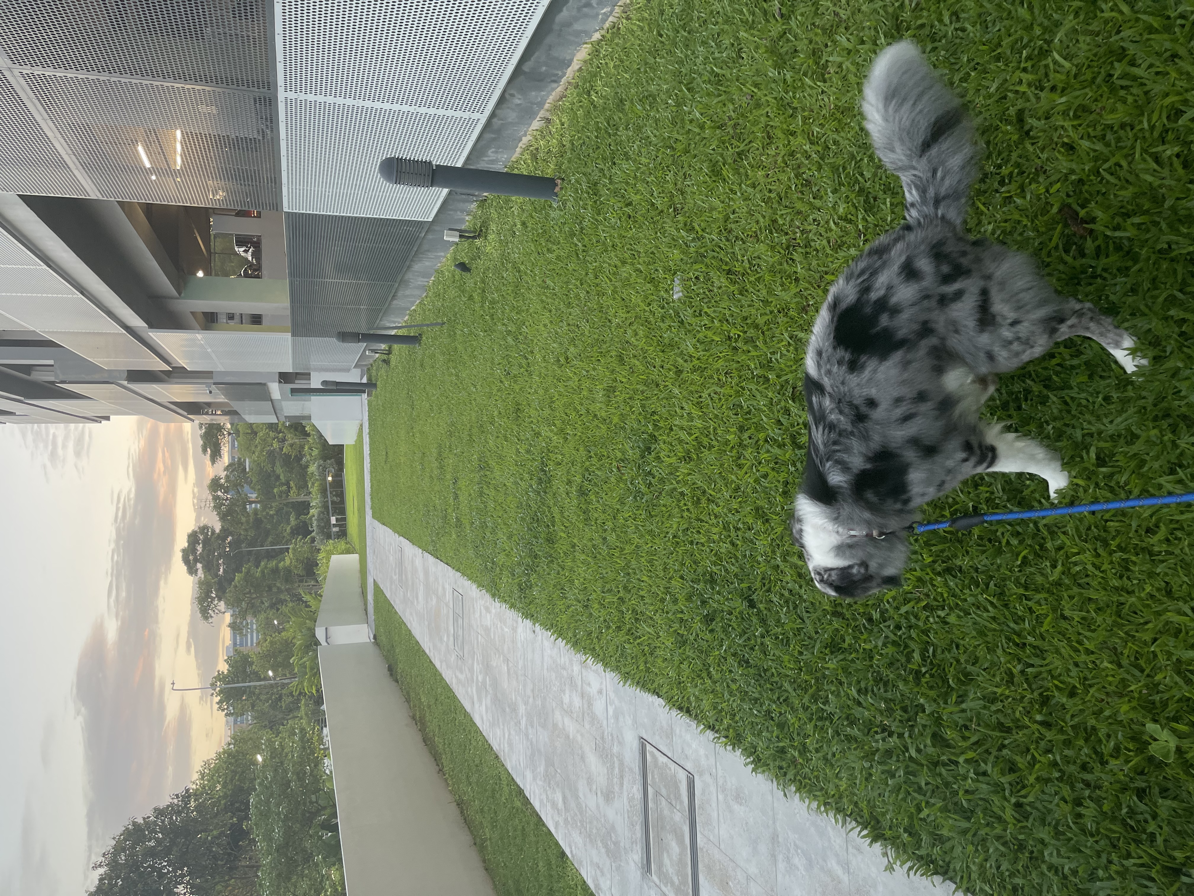 image-8