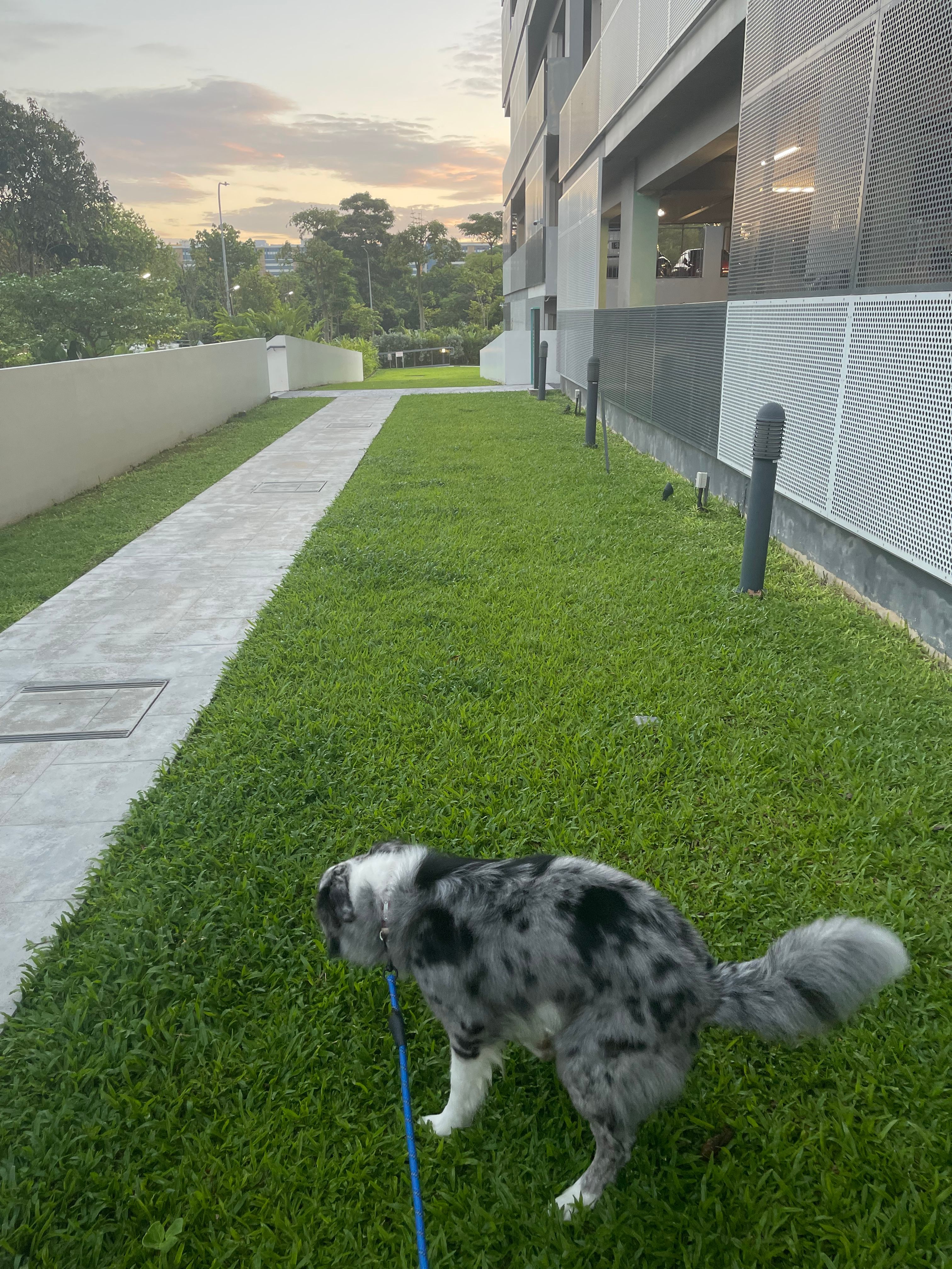 image-8