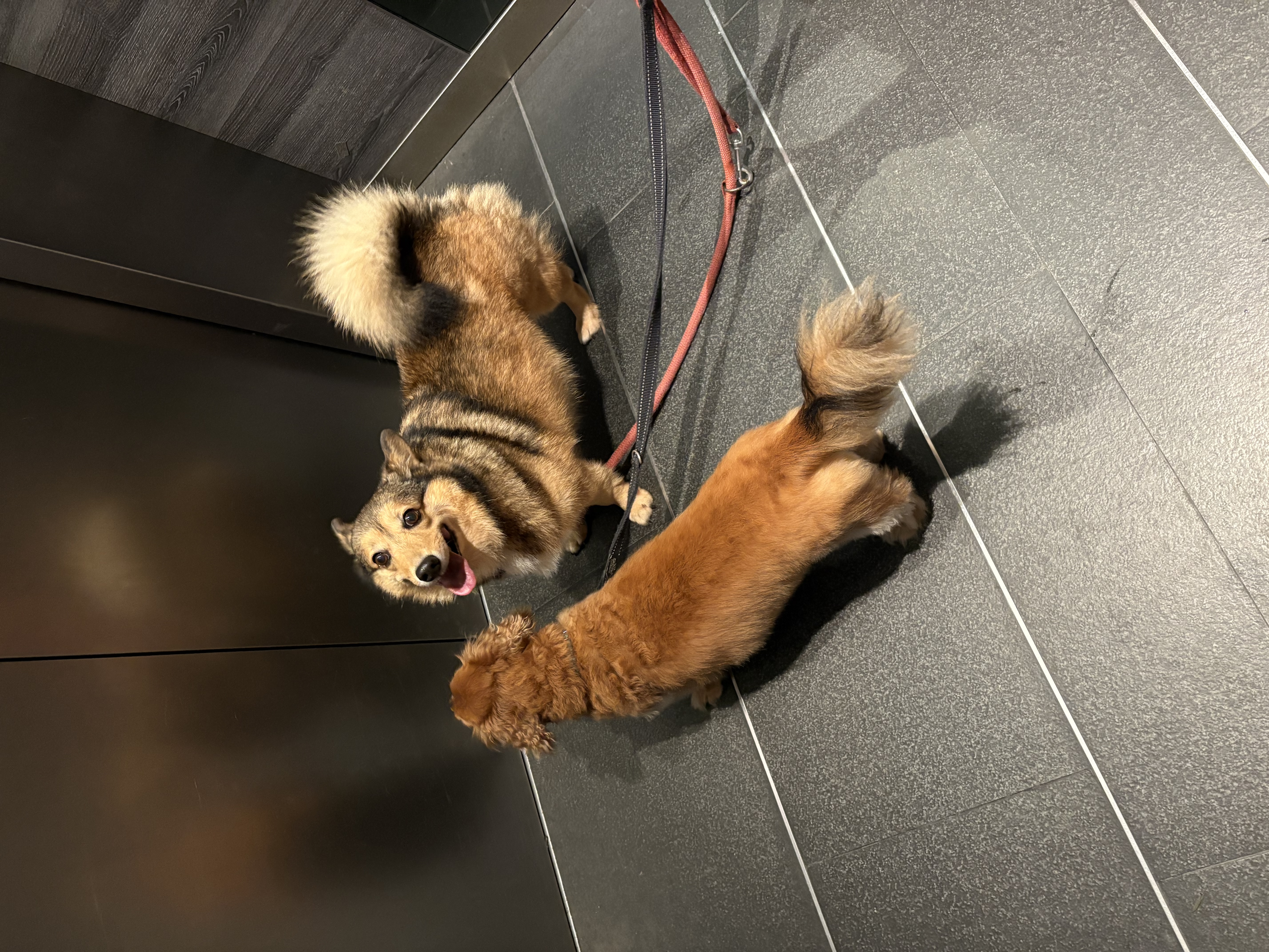 image-6