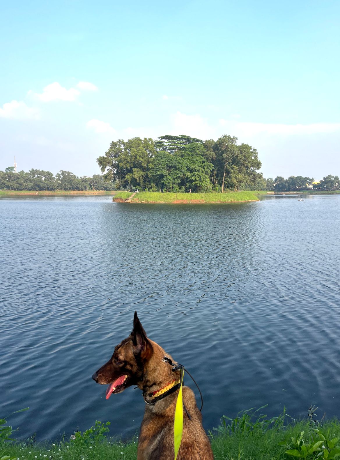 image-6