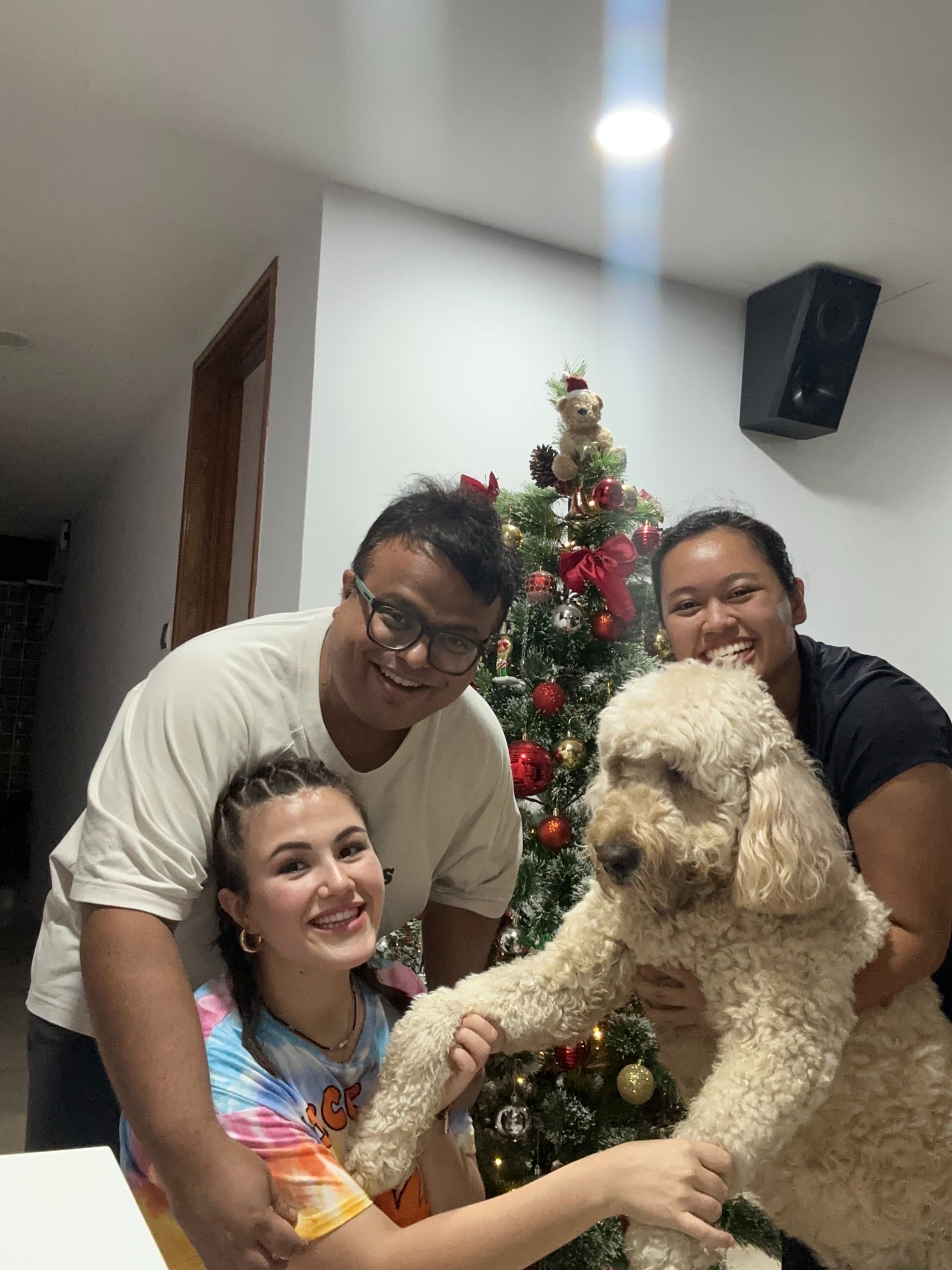 image-10