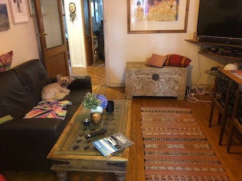 image-19