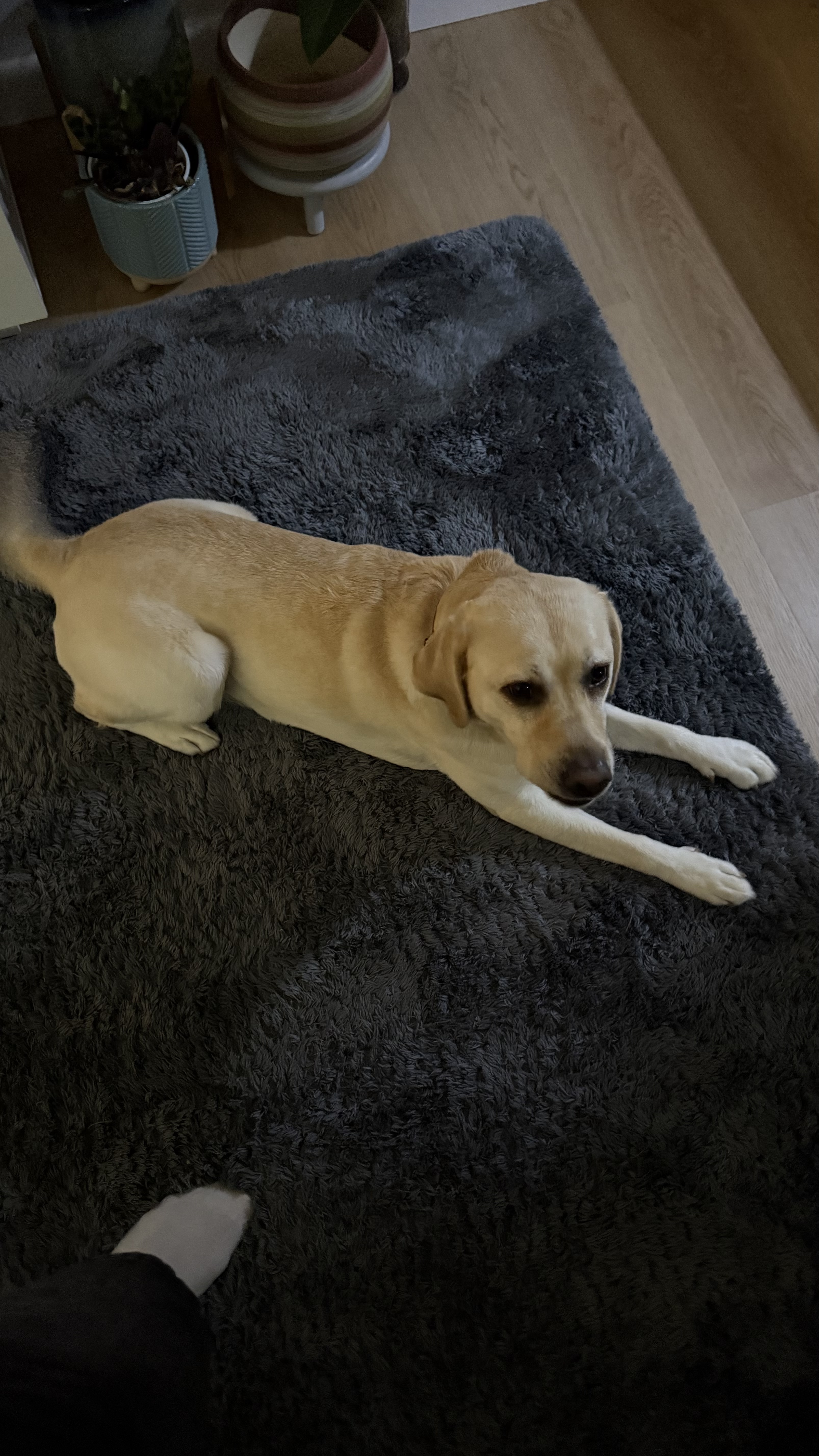 image-6