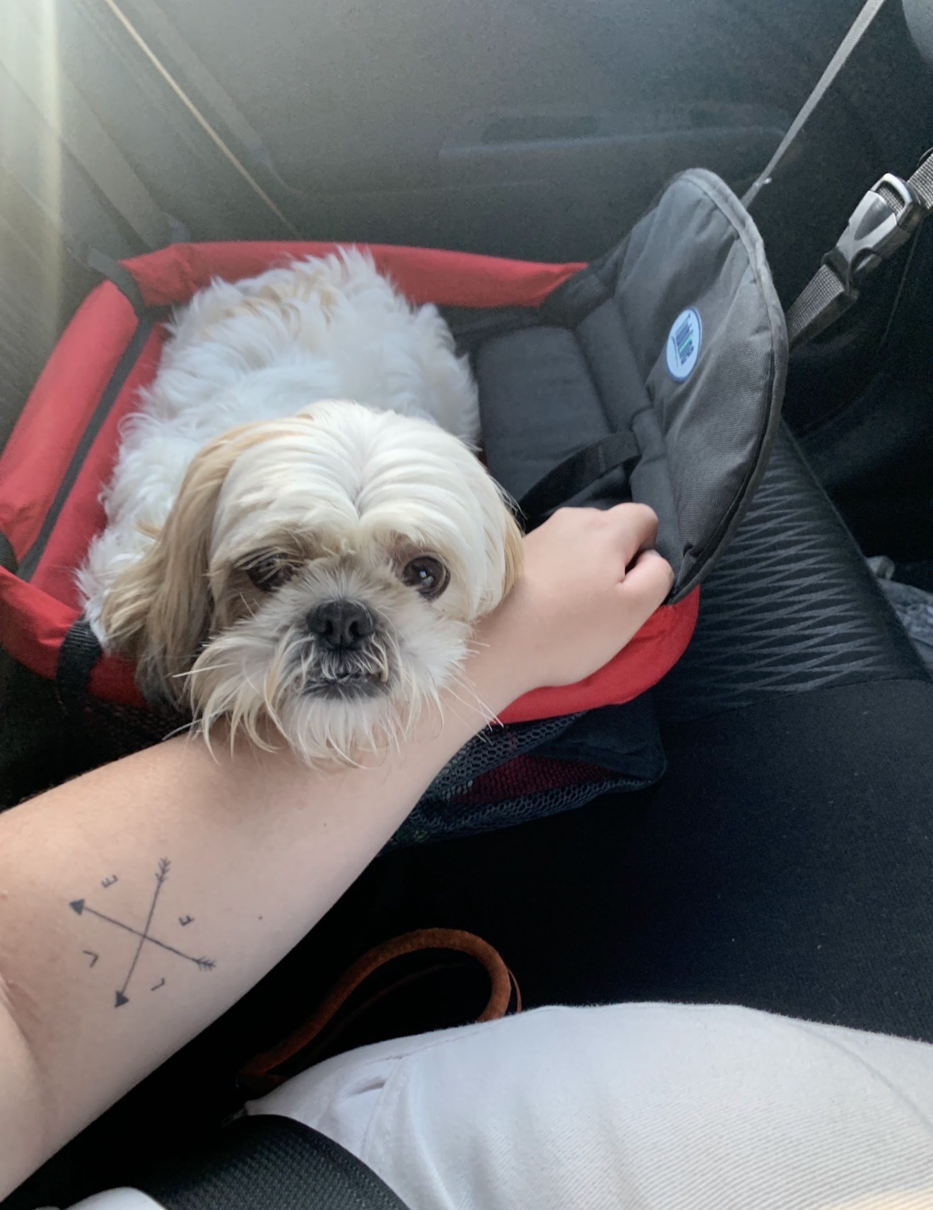 image-6