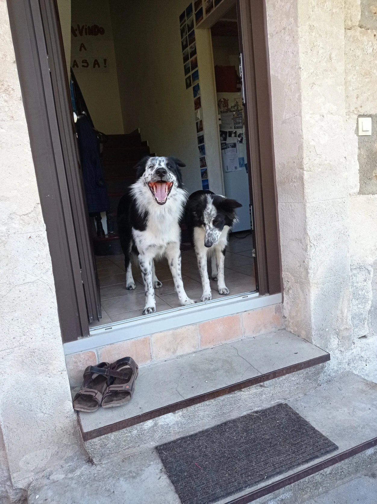 image-14