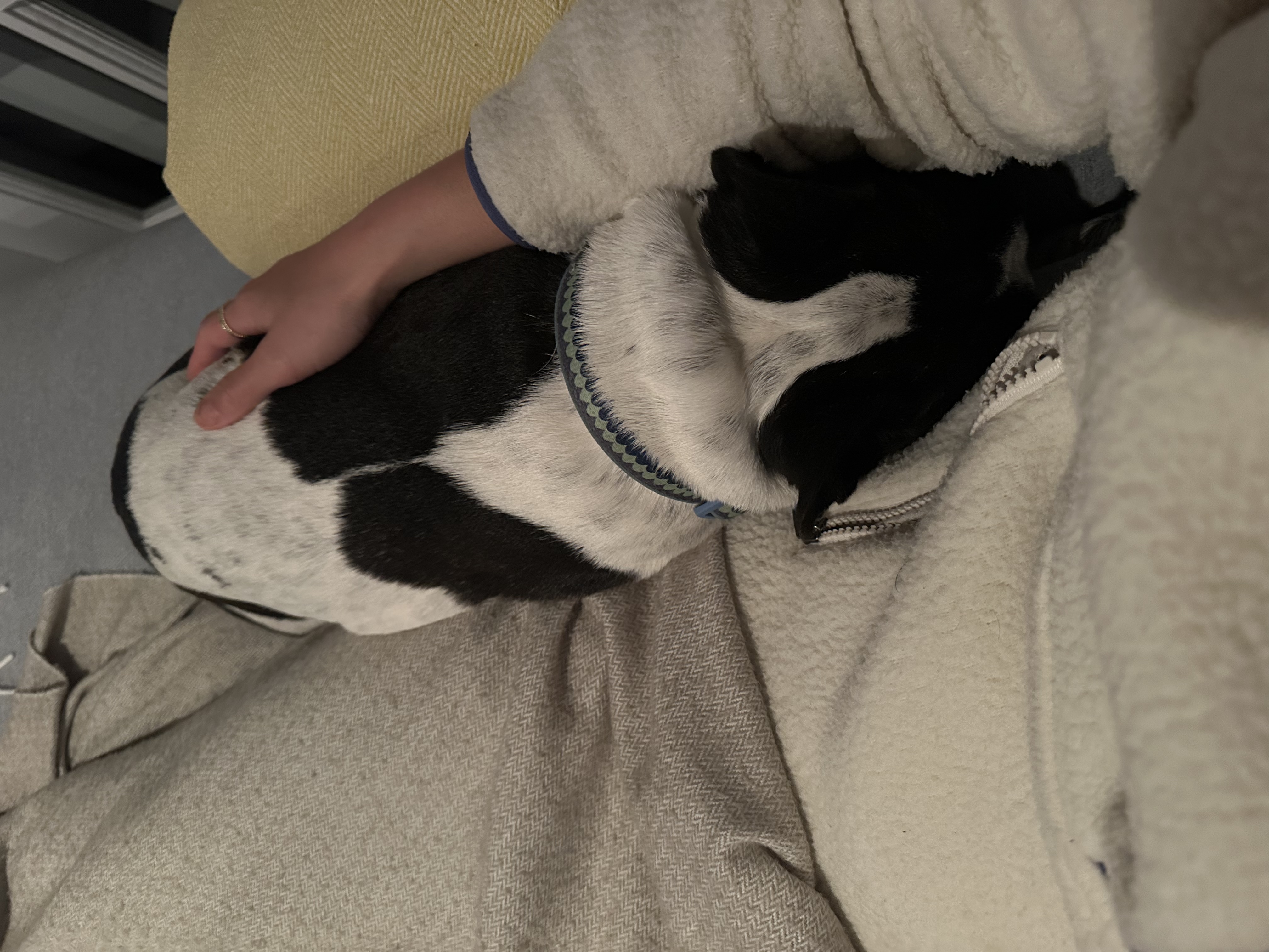 image-8