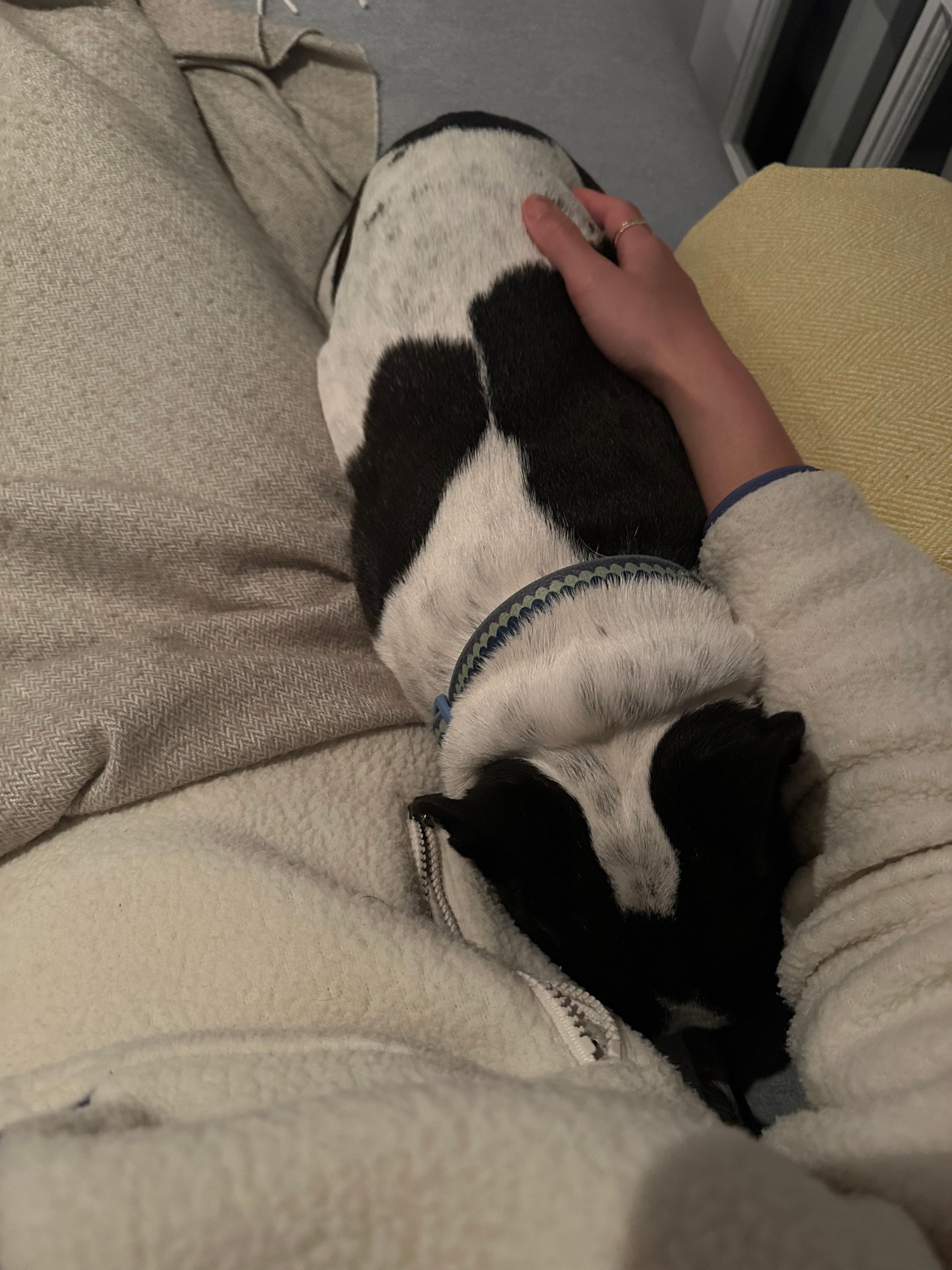 image-8