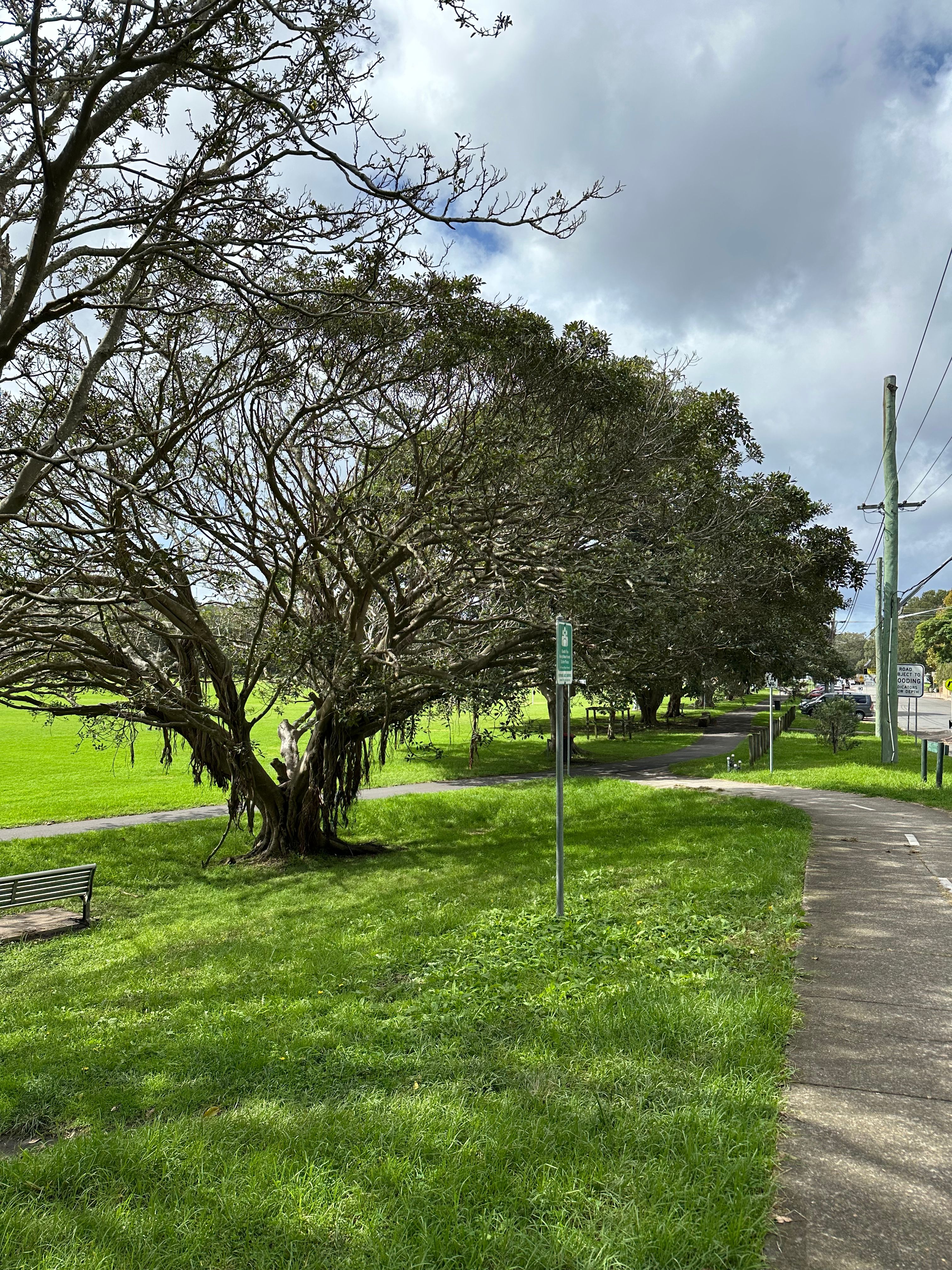 image-19