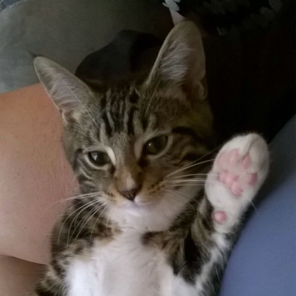 Mimi
