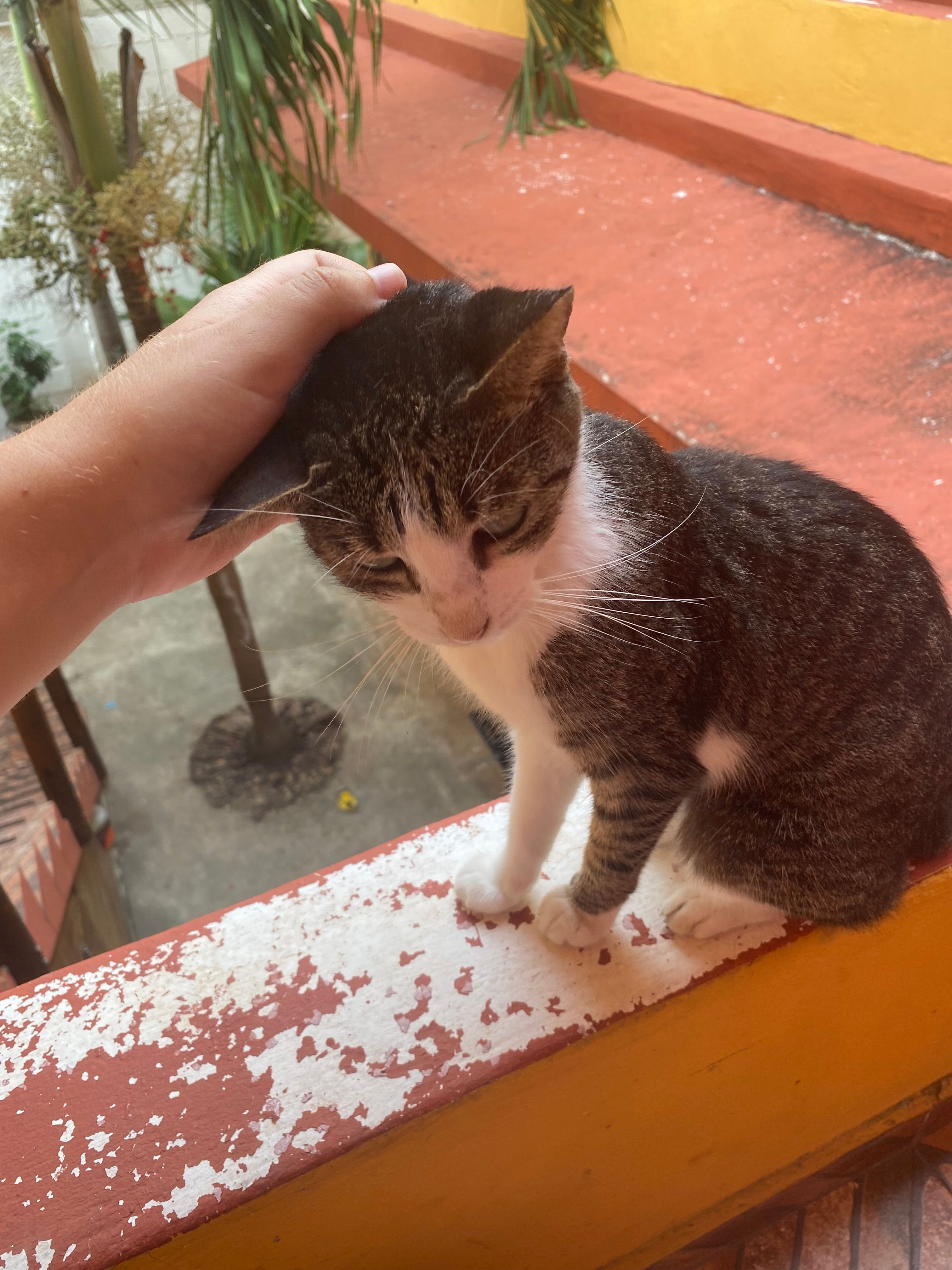 image-7