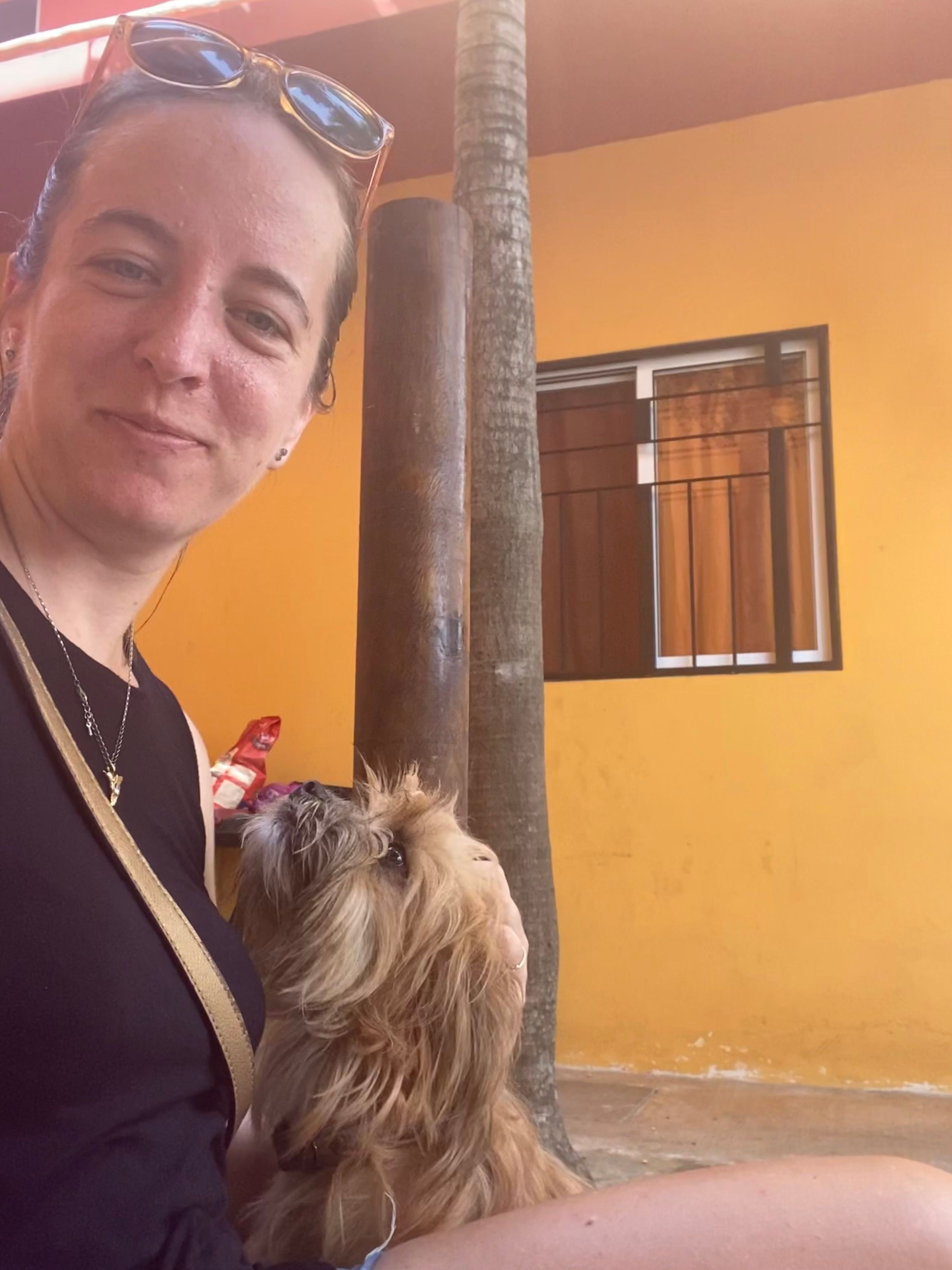 image-8