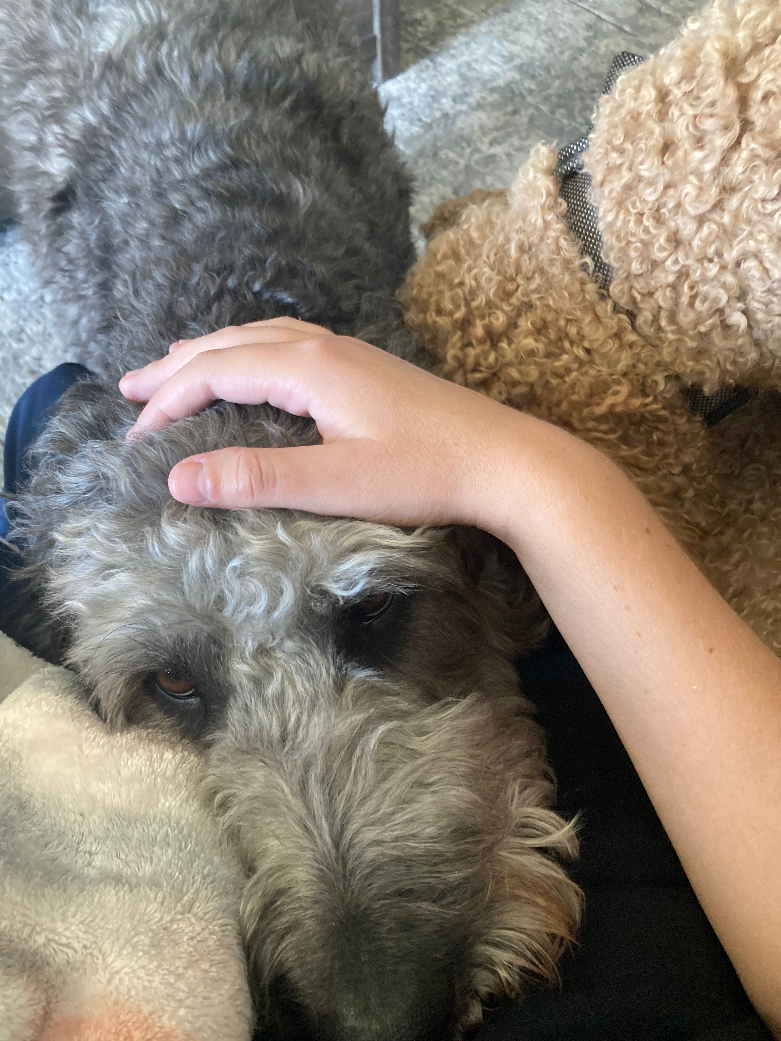 image-16