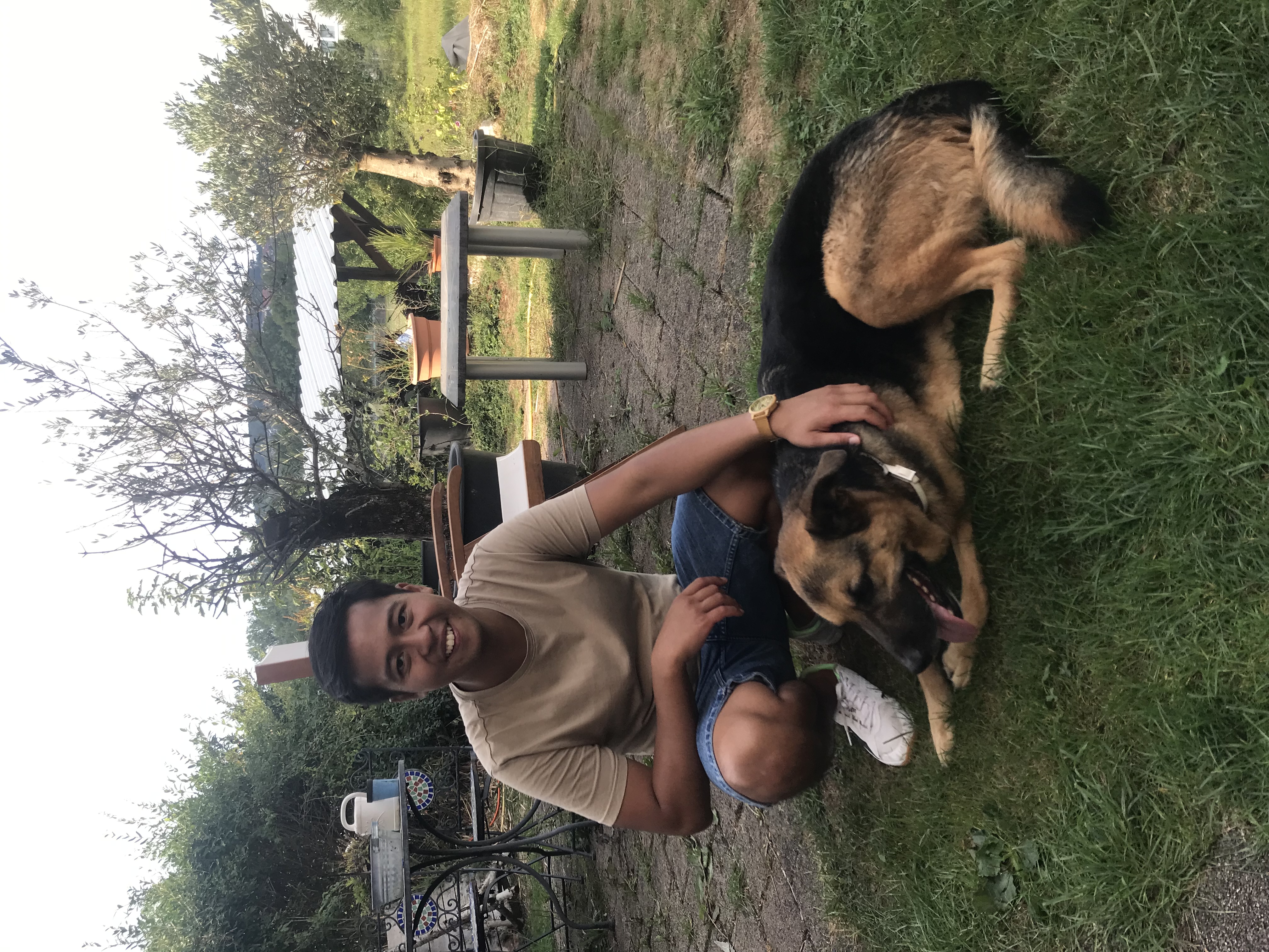 image-8