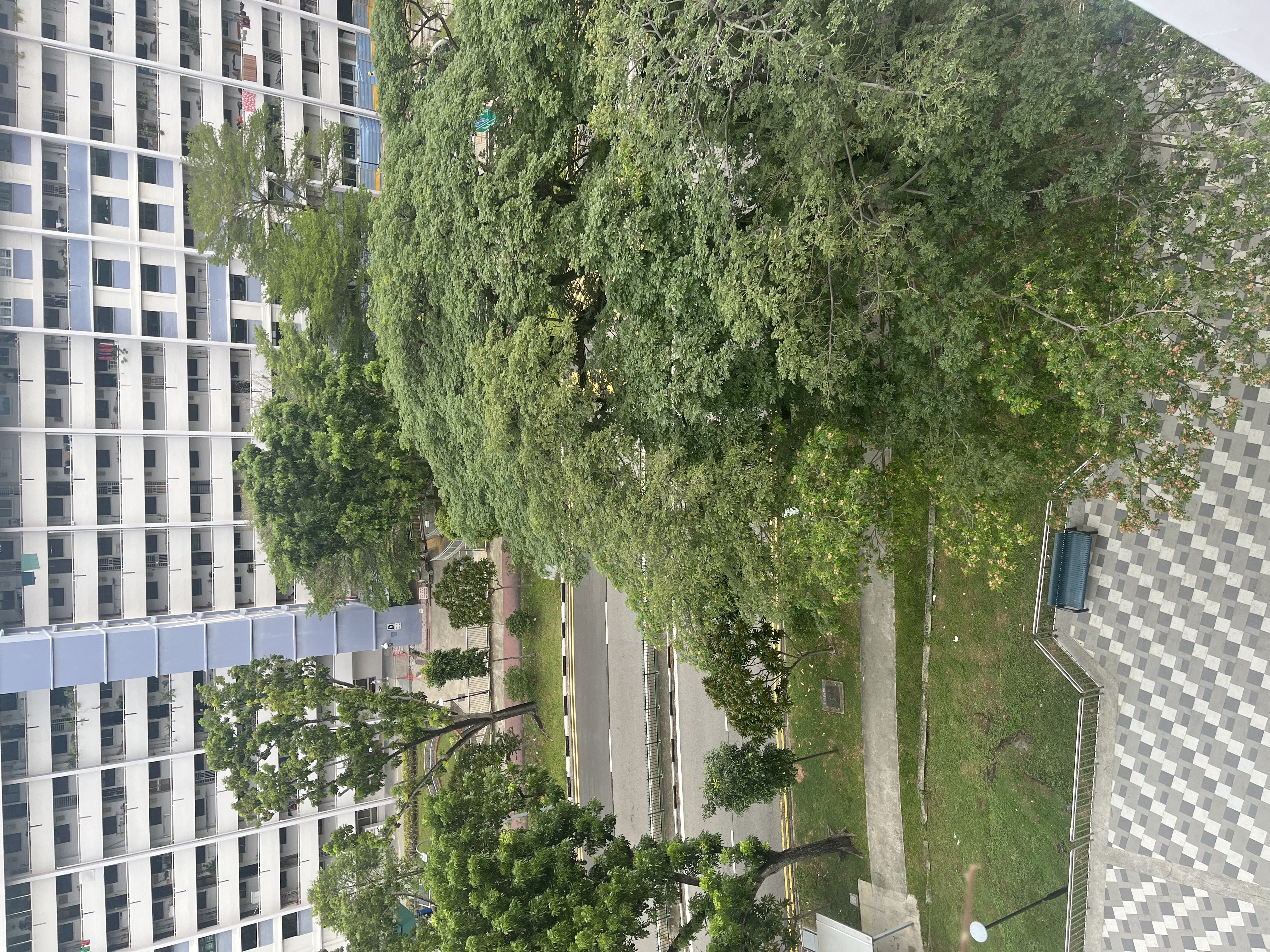 image-14