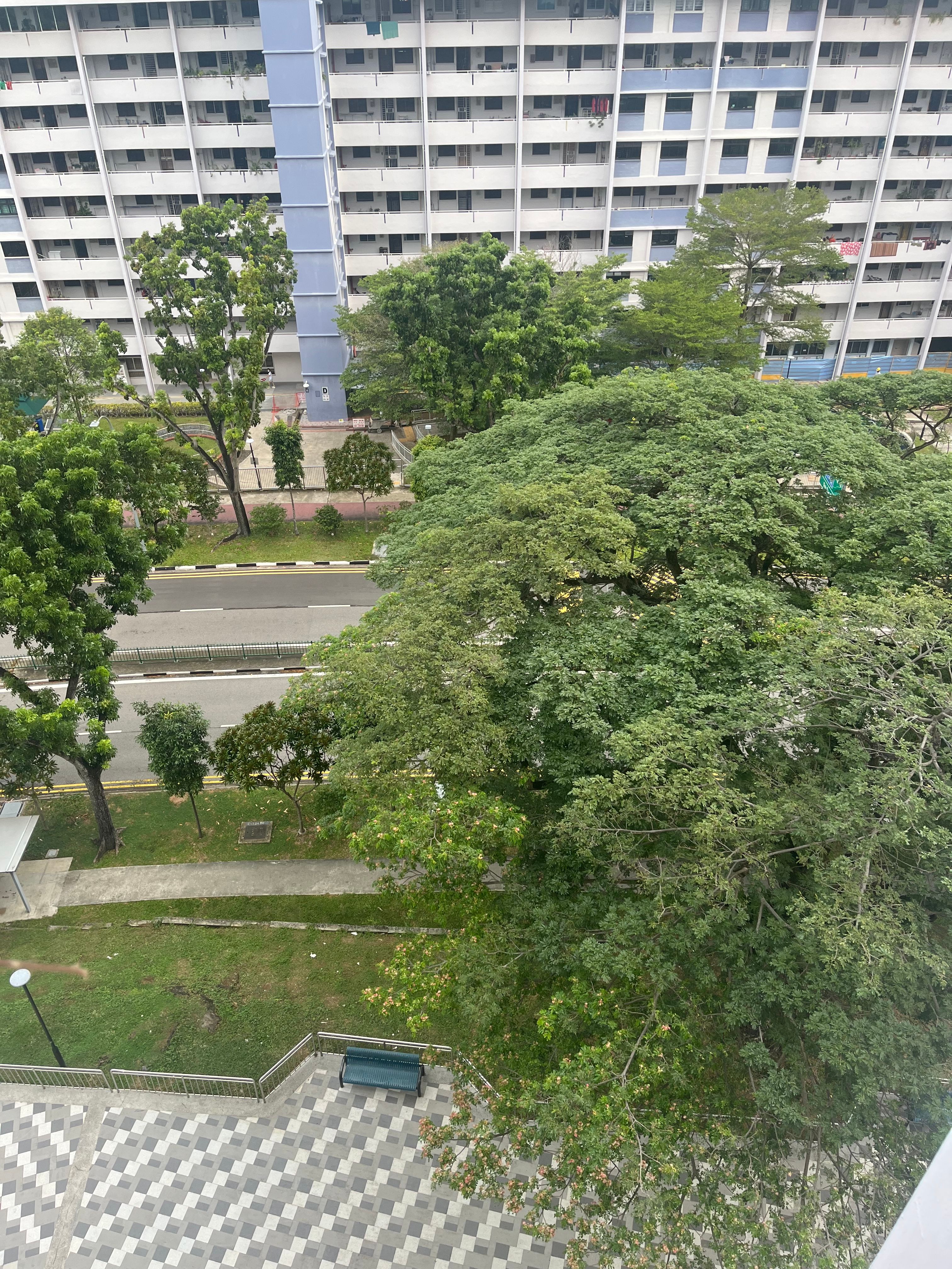 image-14