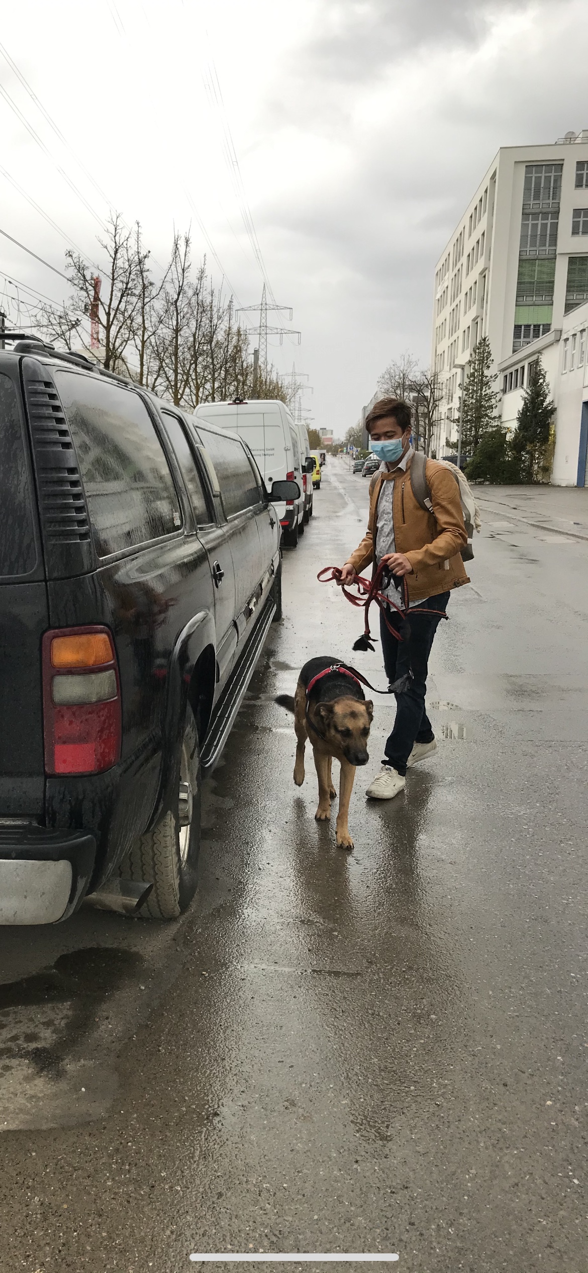 image-9