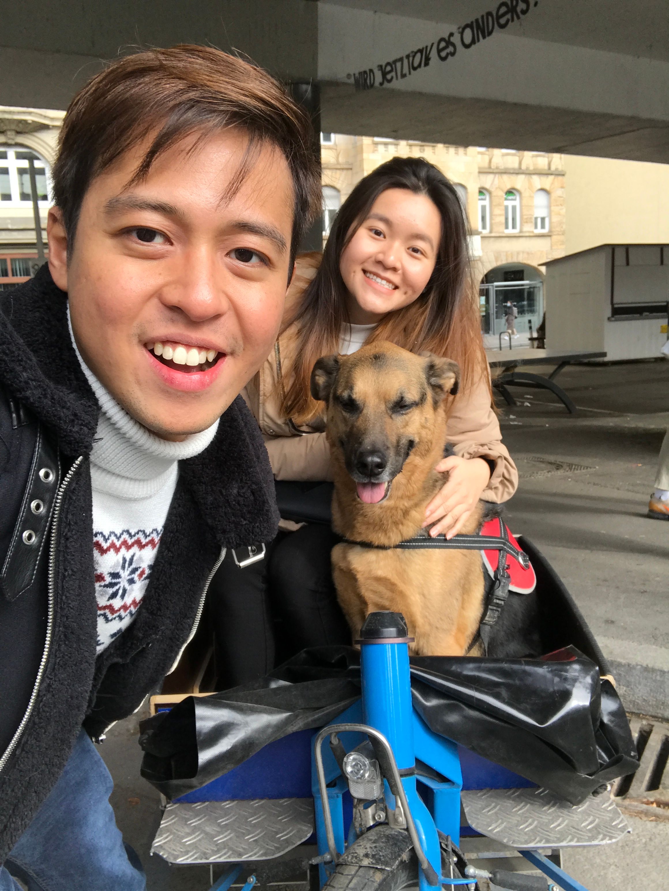 image-11