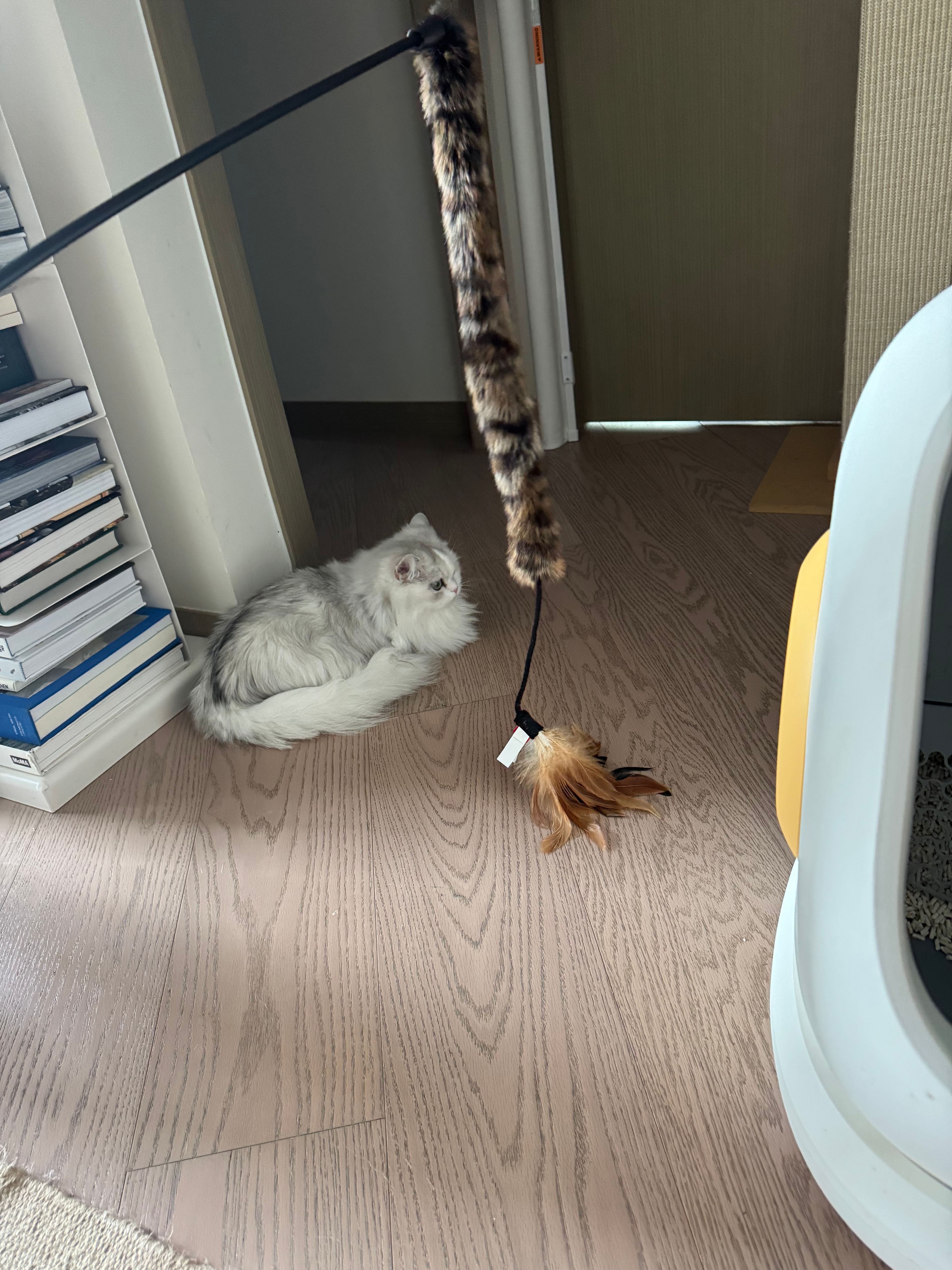 image-20