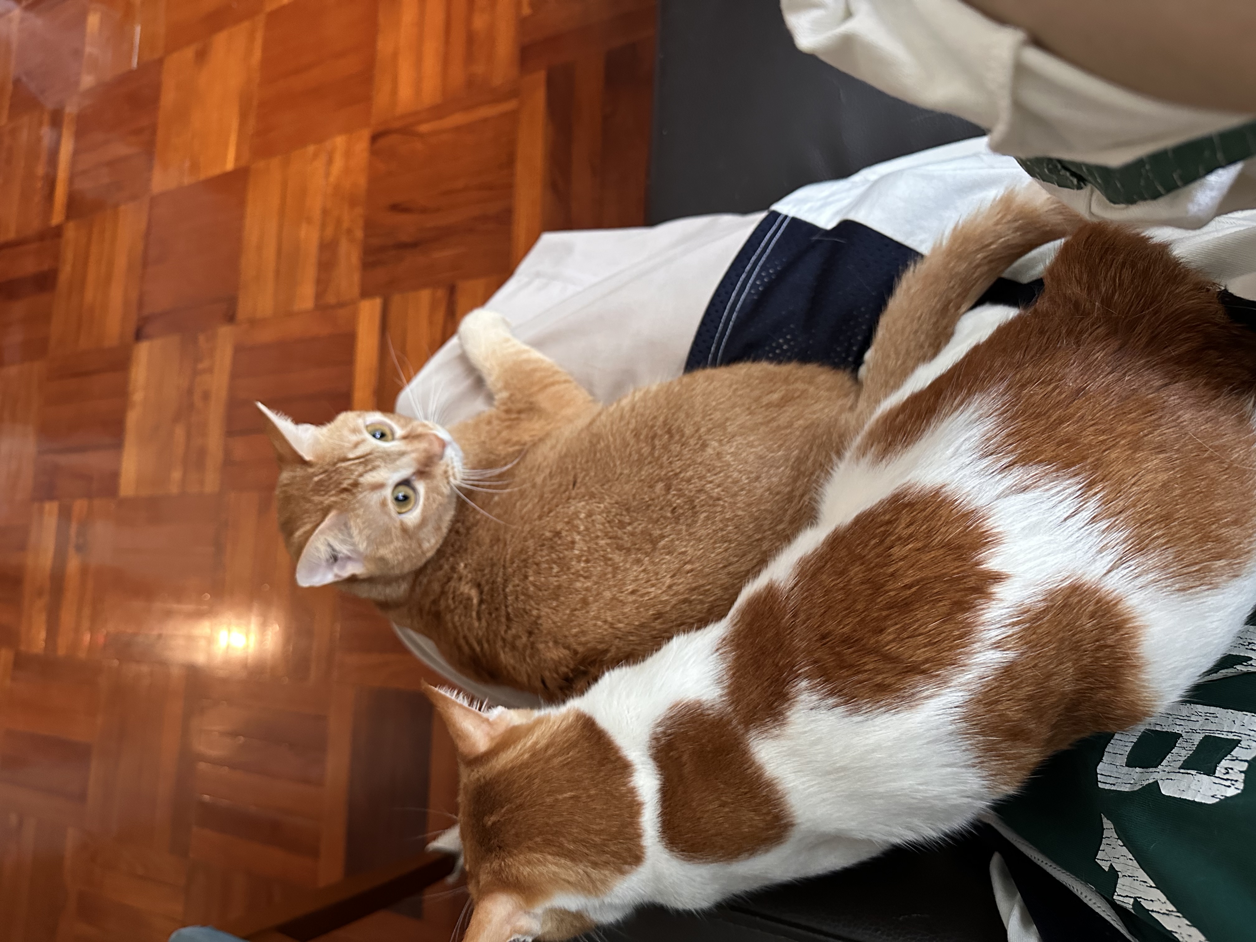 image-8
