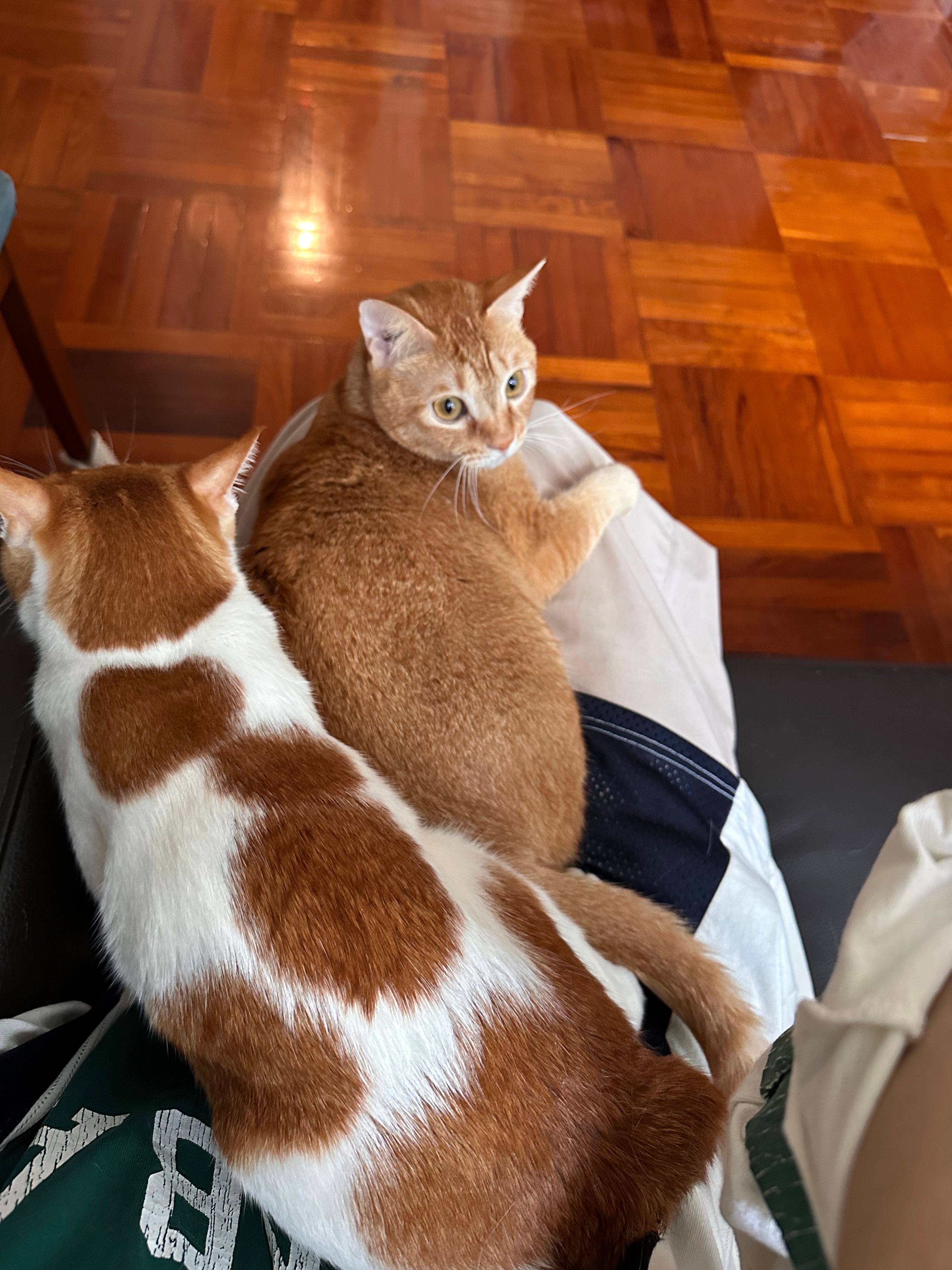 image-8