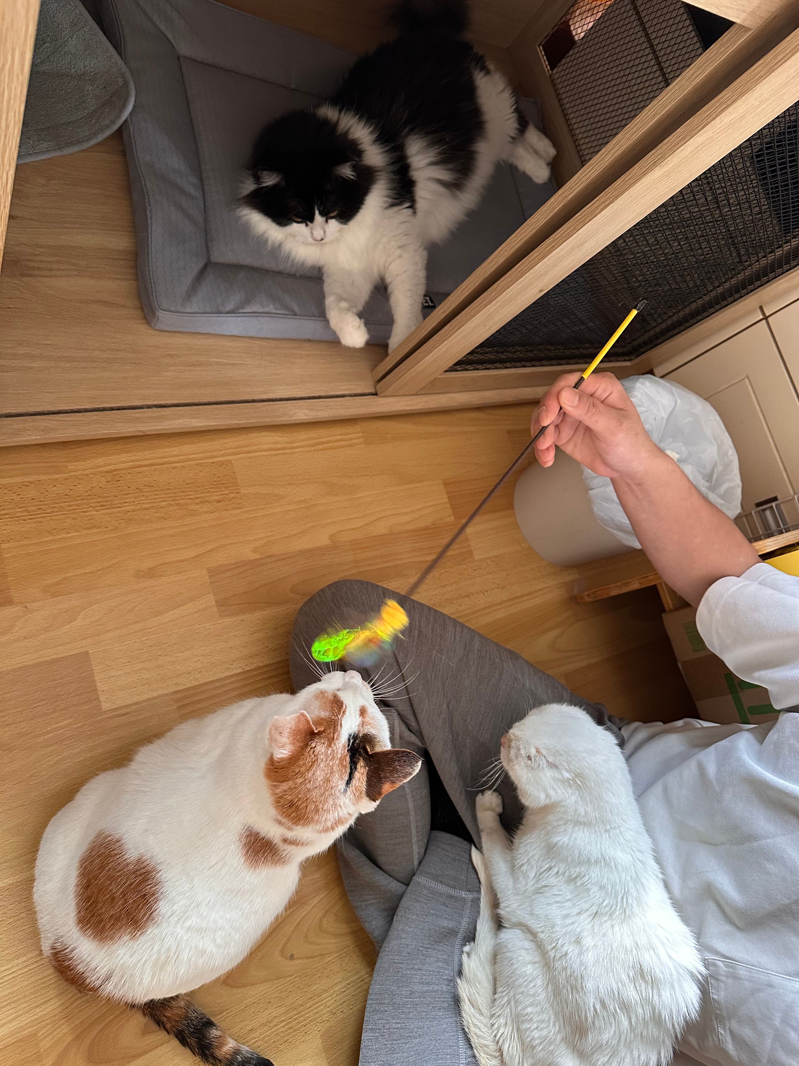 image-14