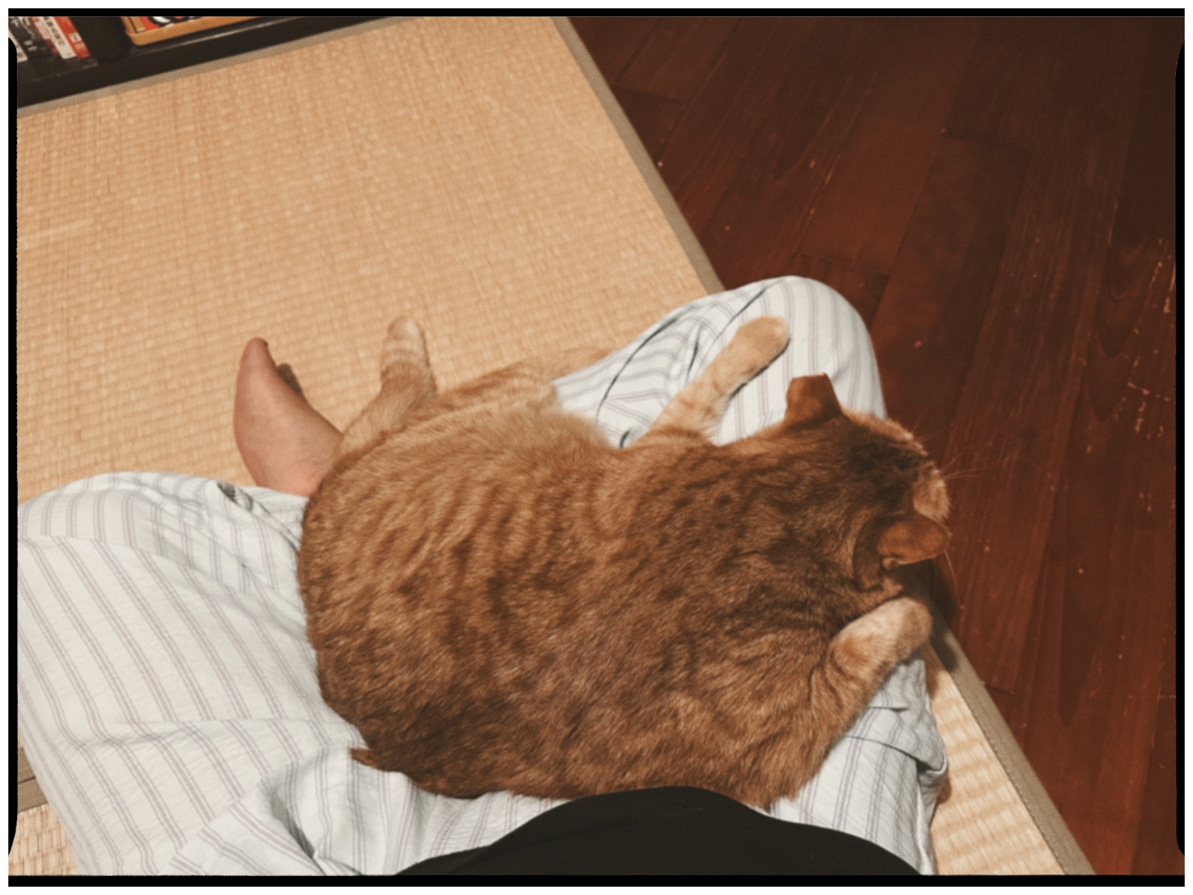 image-9