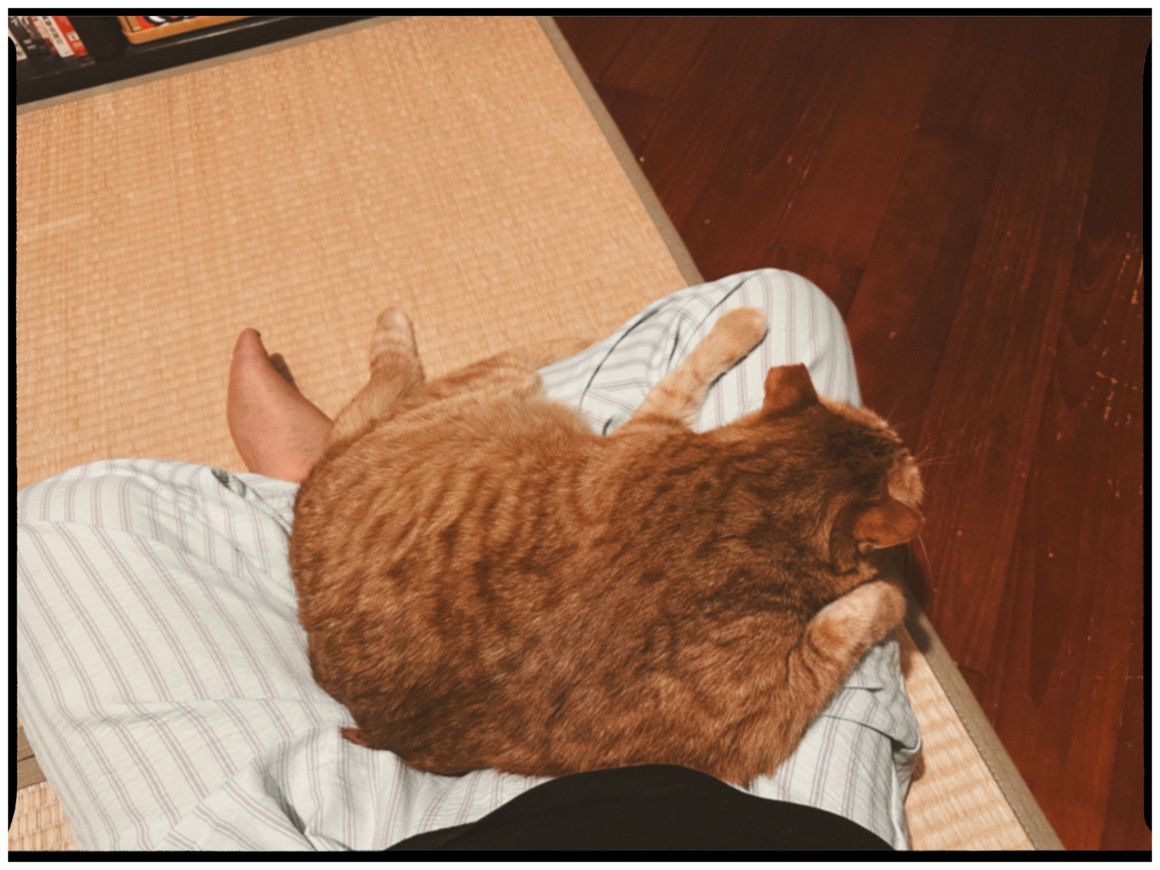 image-9