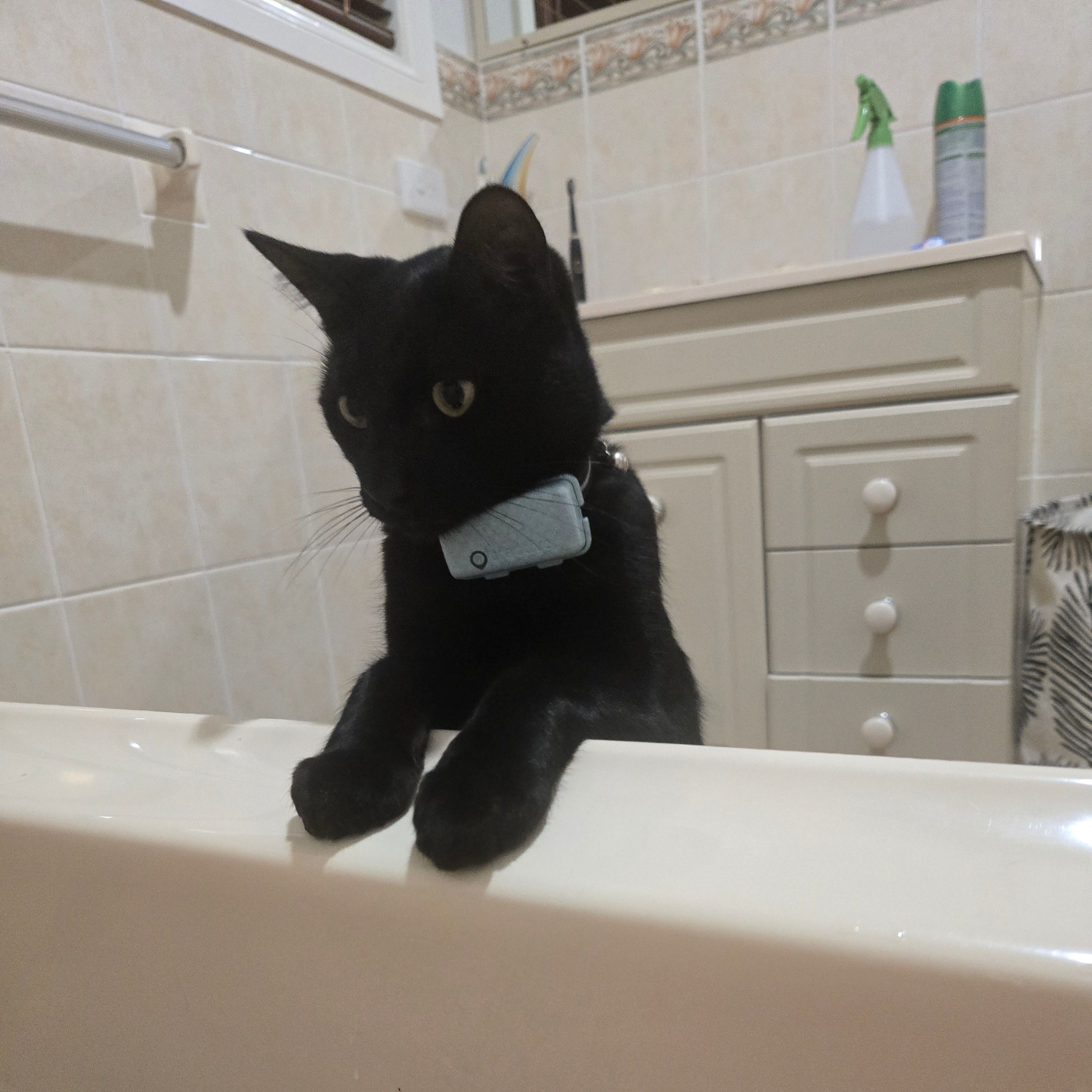 Binx