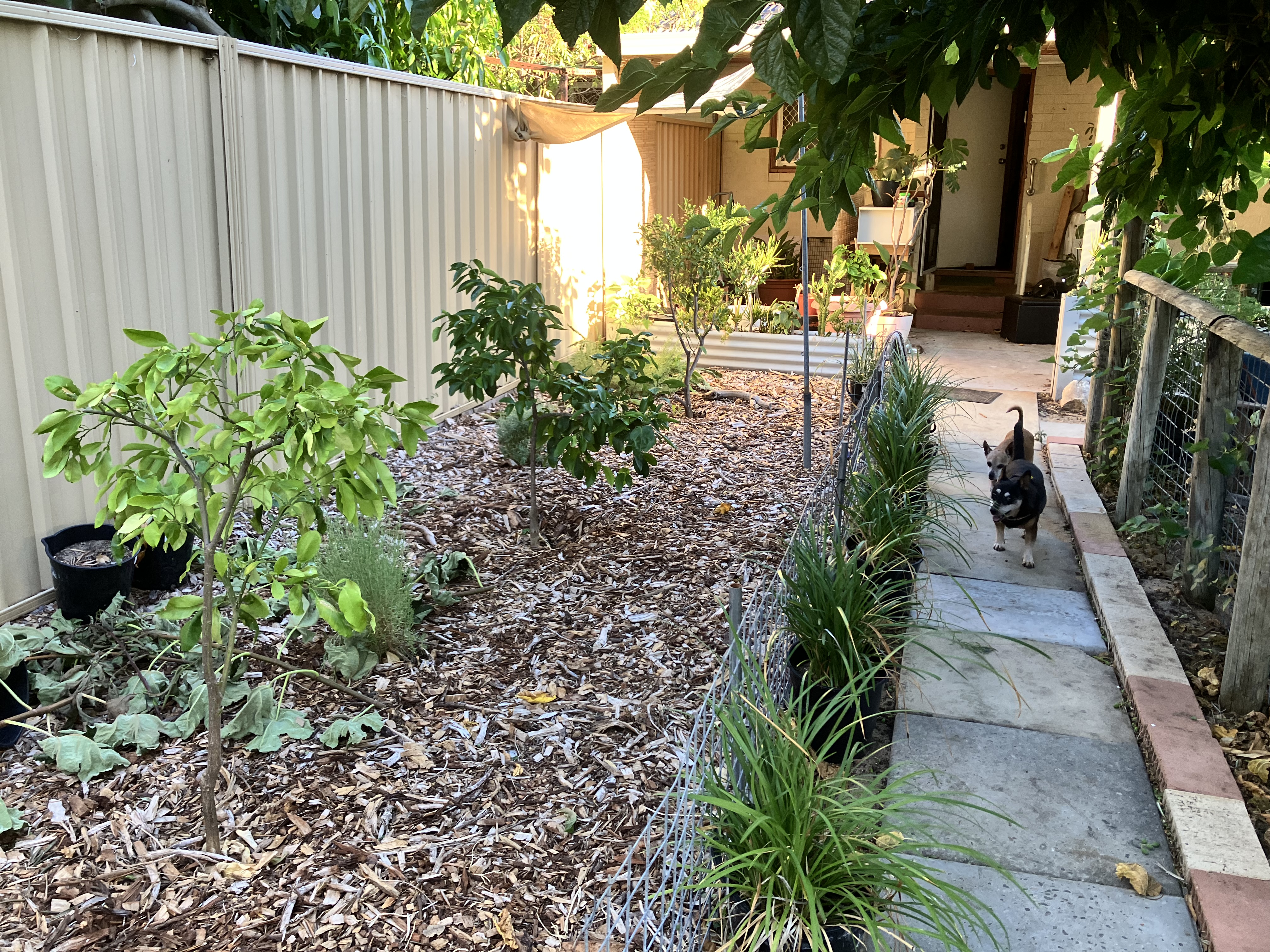 image-16