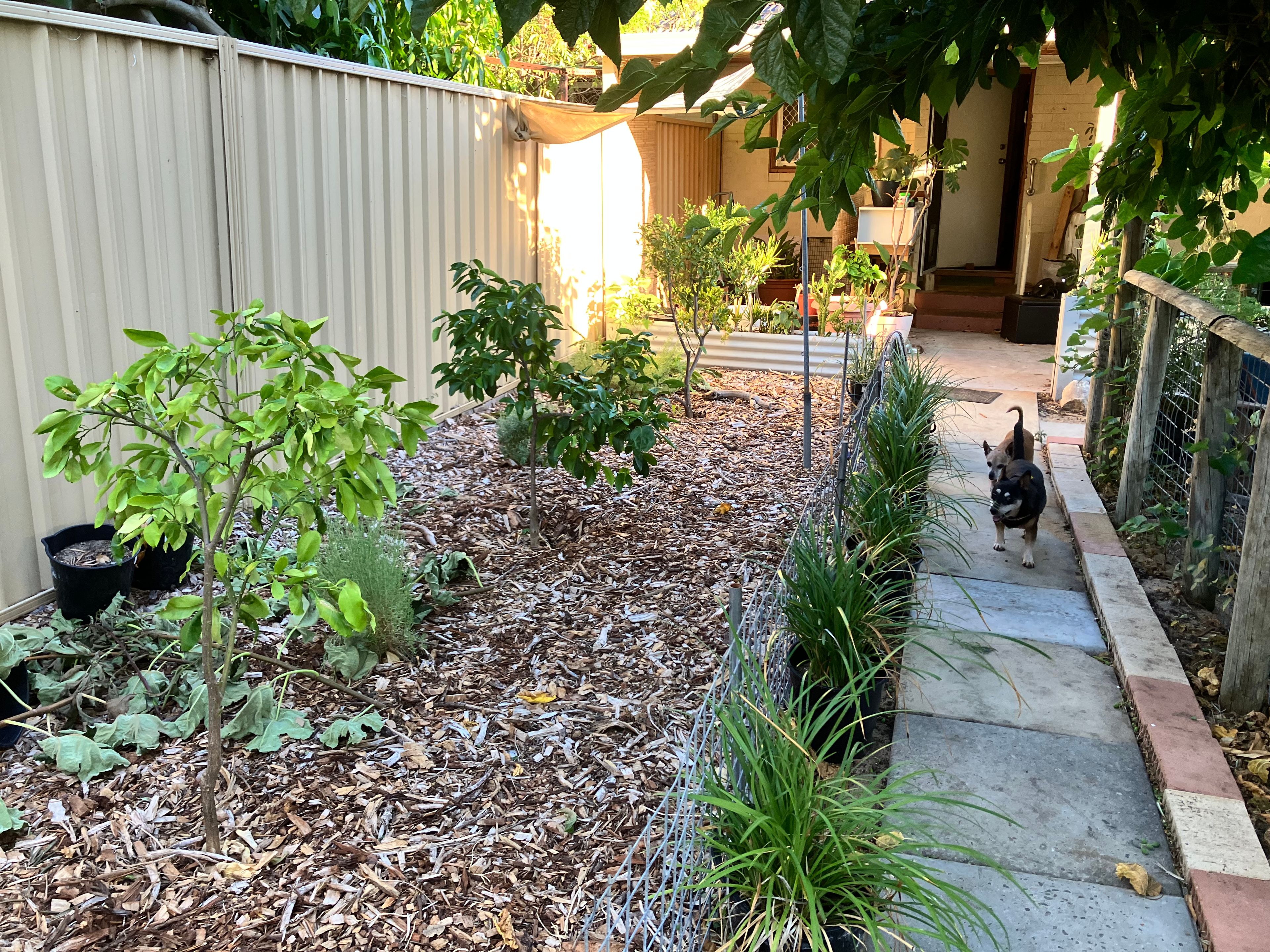 image-16