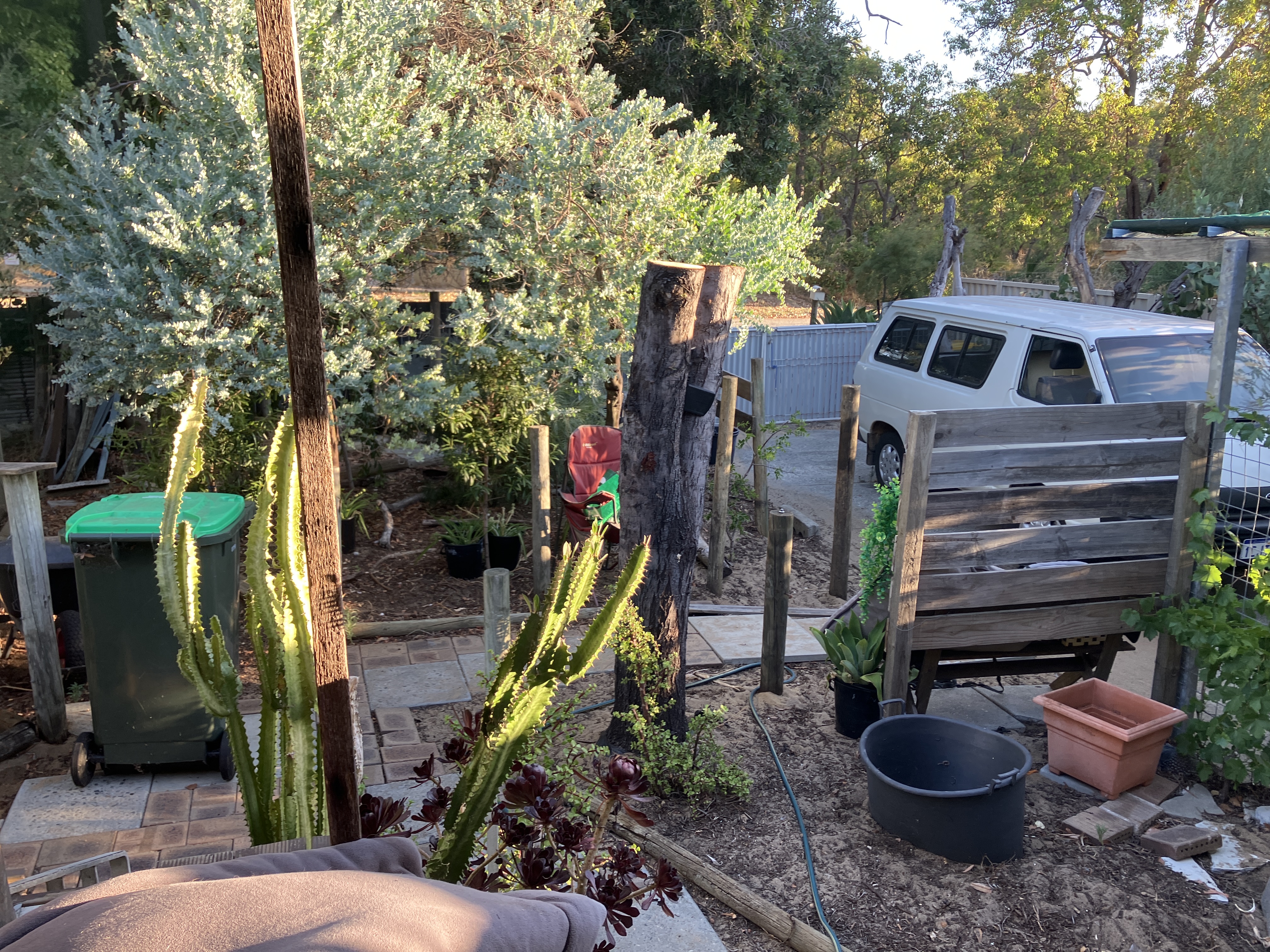 image-19