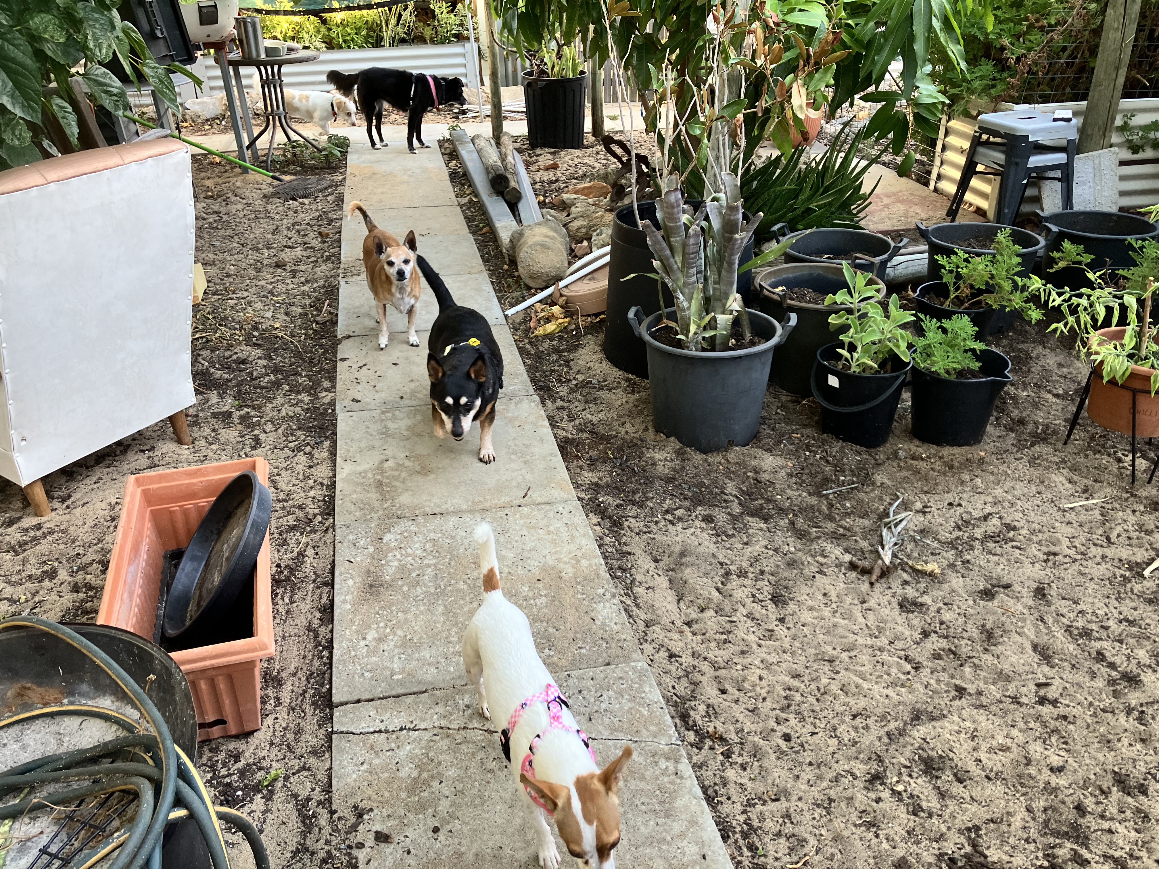 image-18