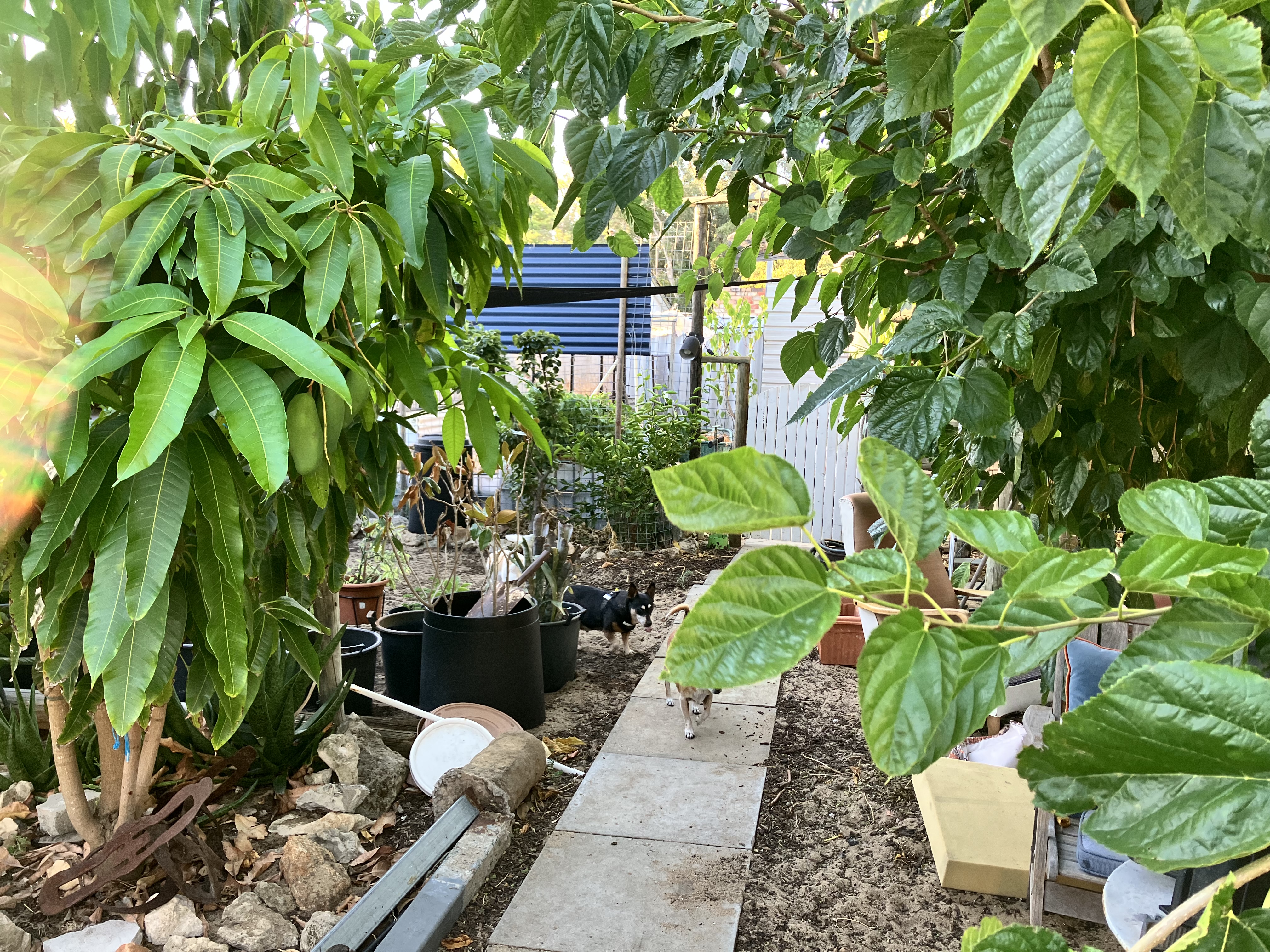 image-17