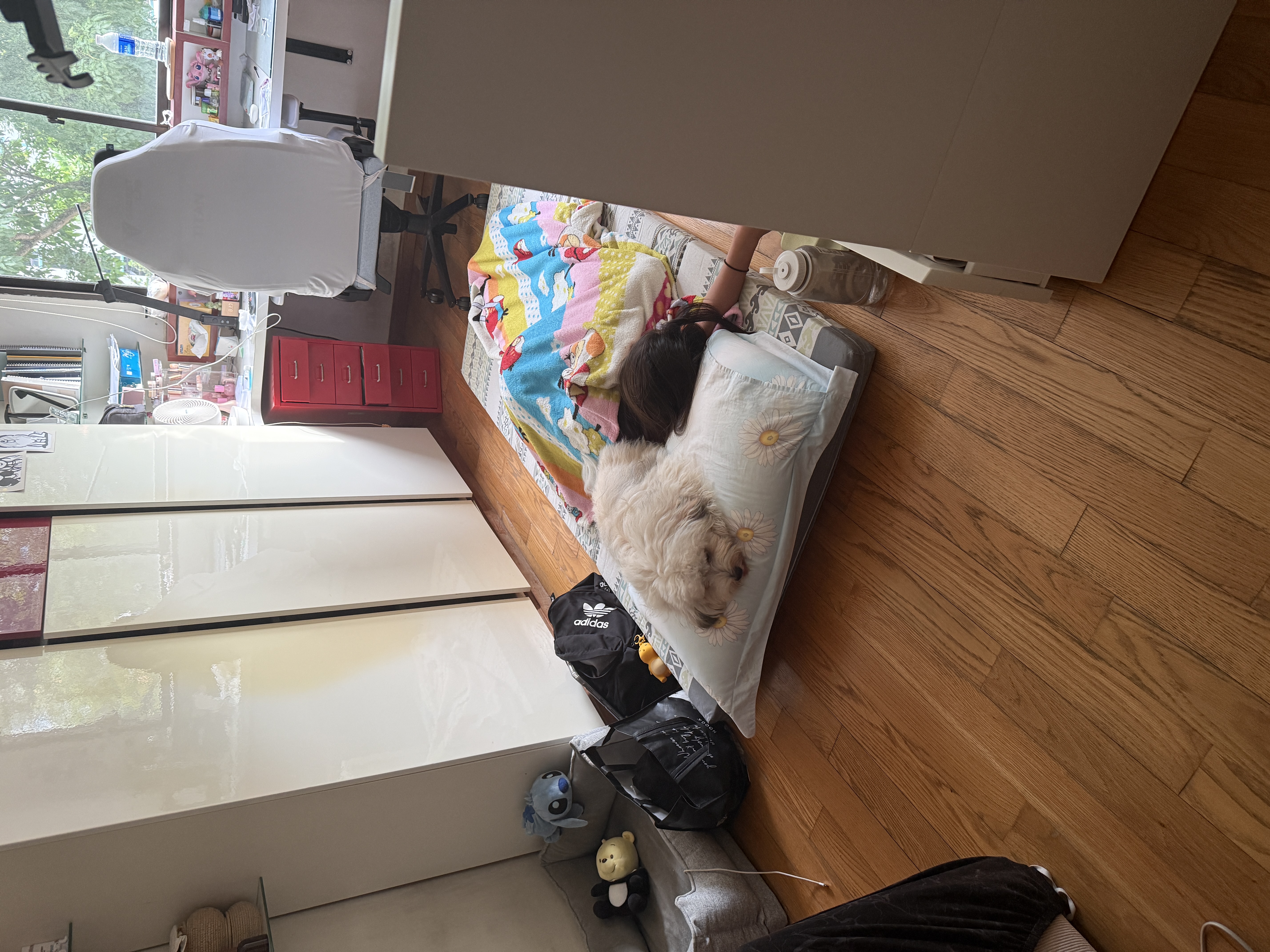 image-14