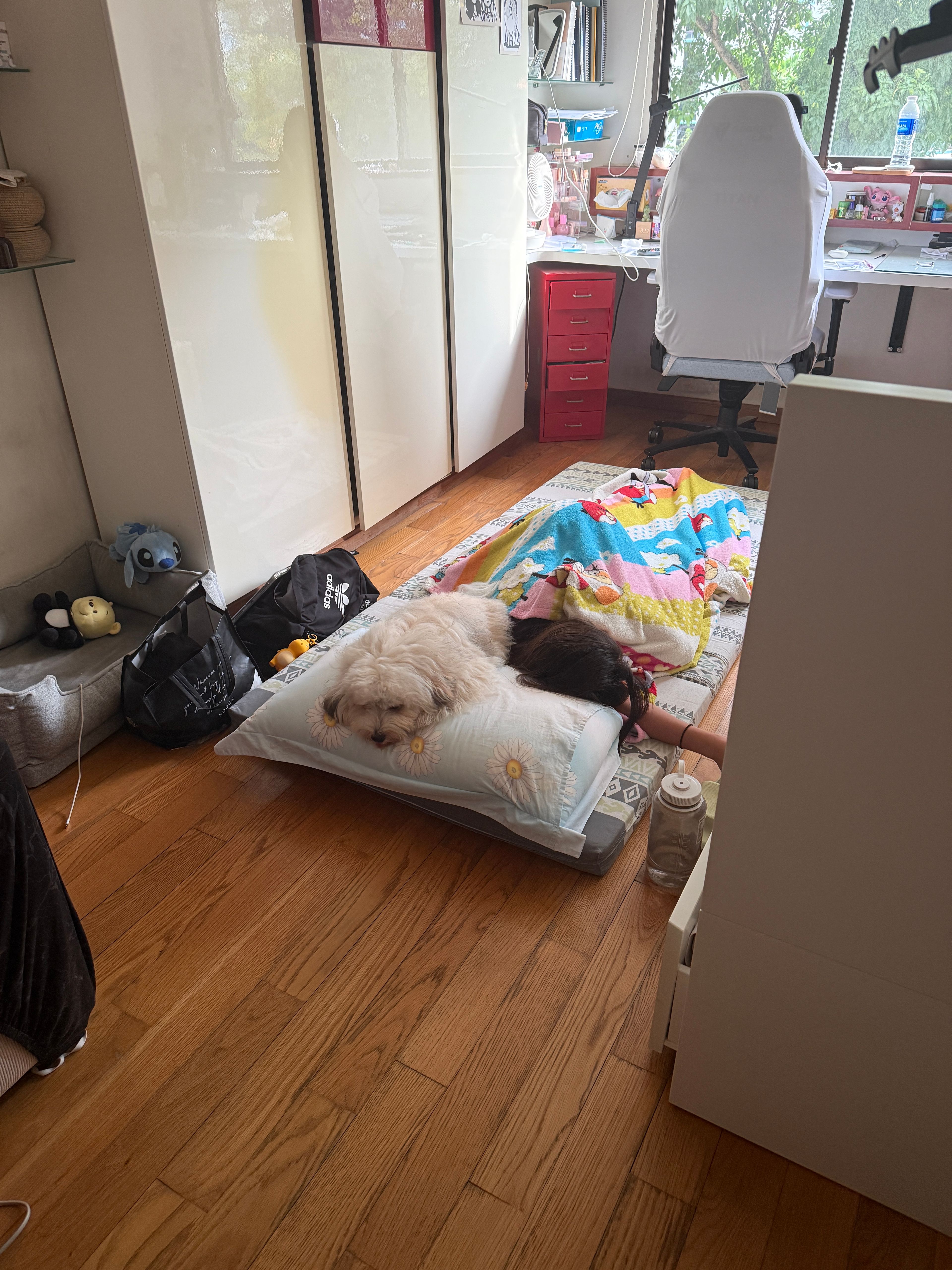 image-14