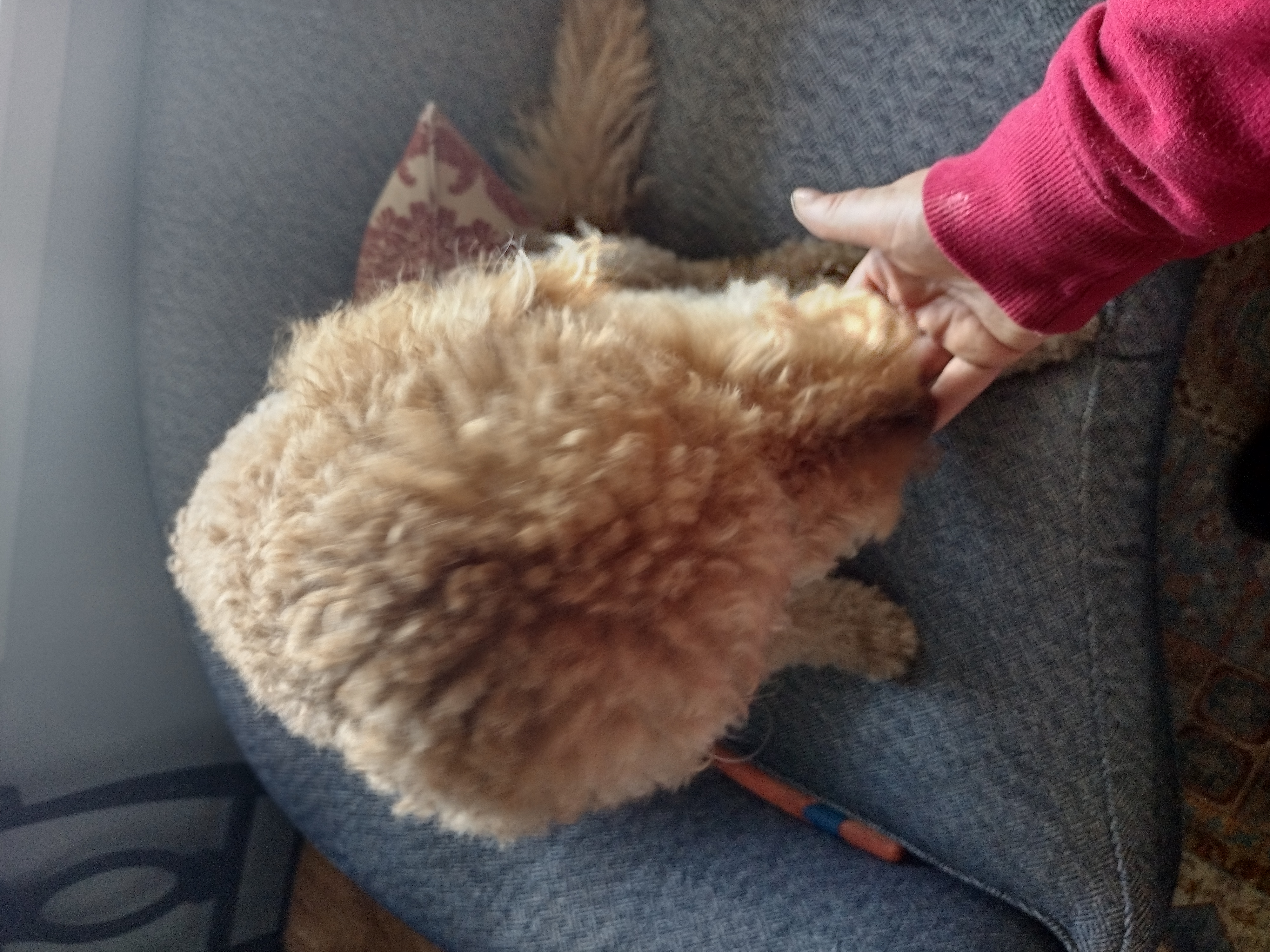 image-6
