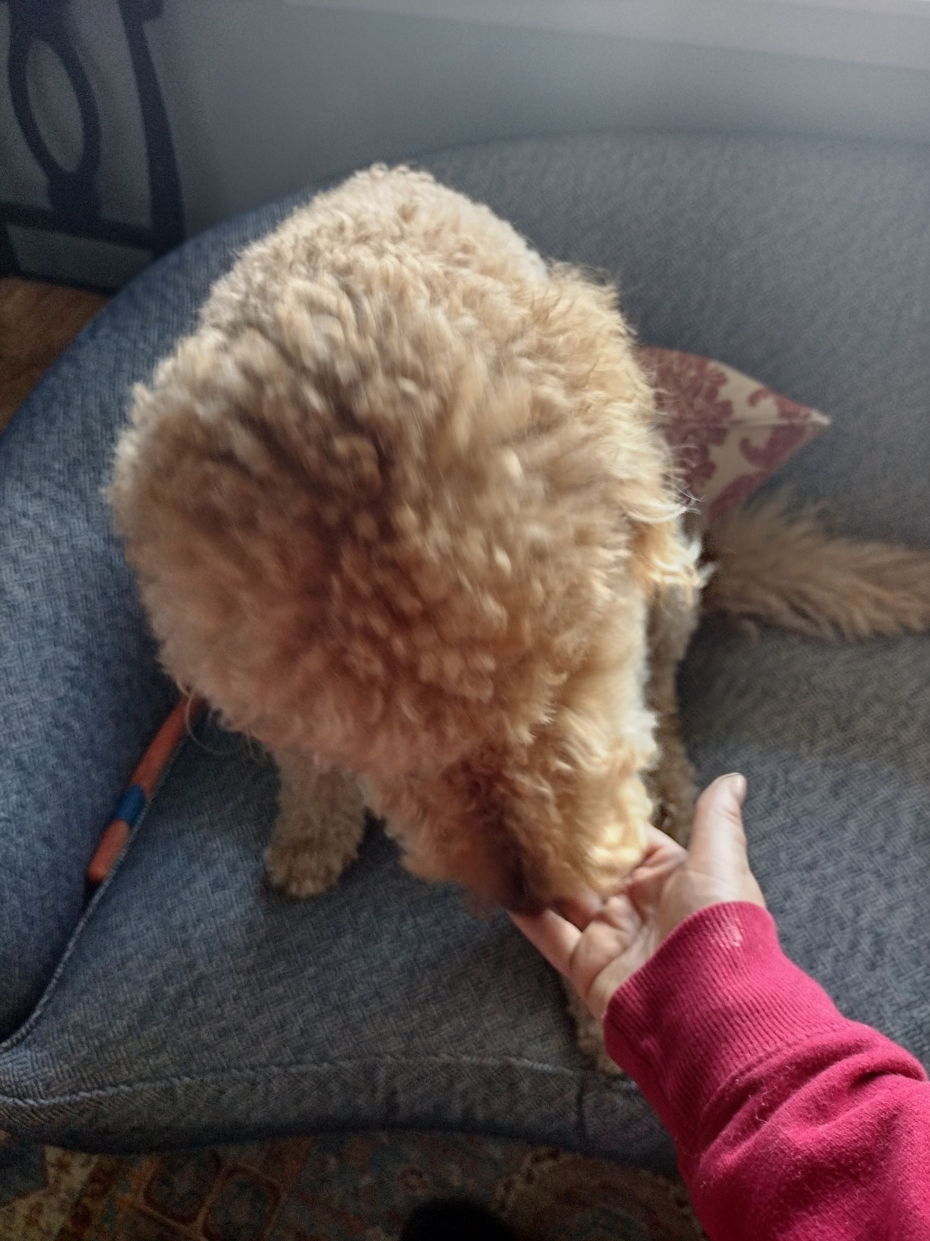 image-6
