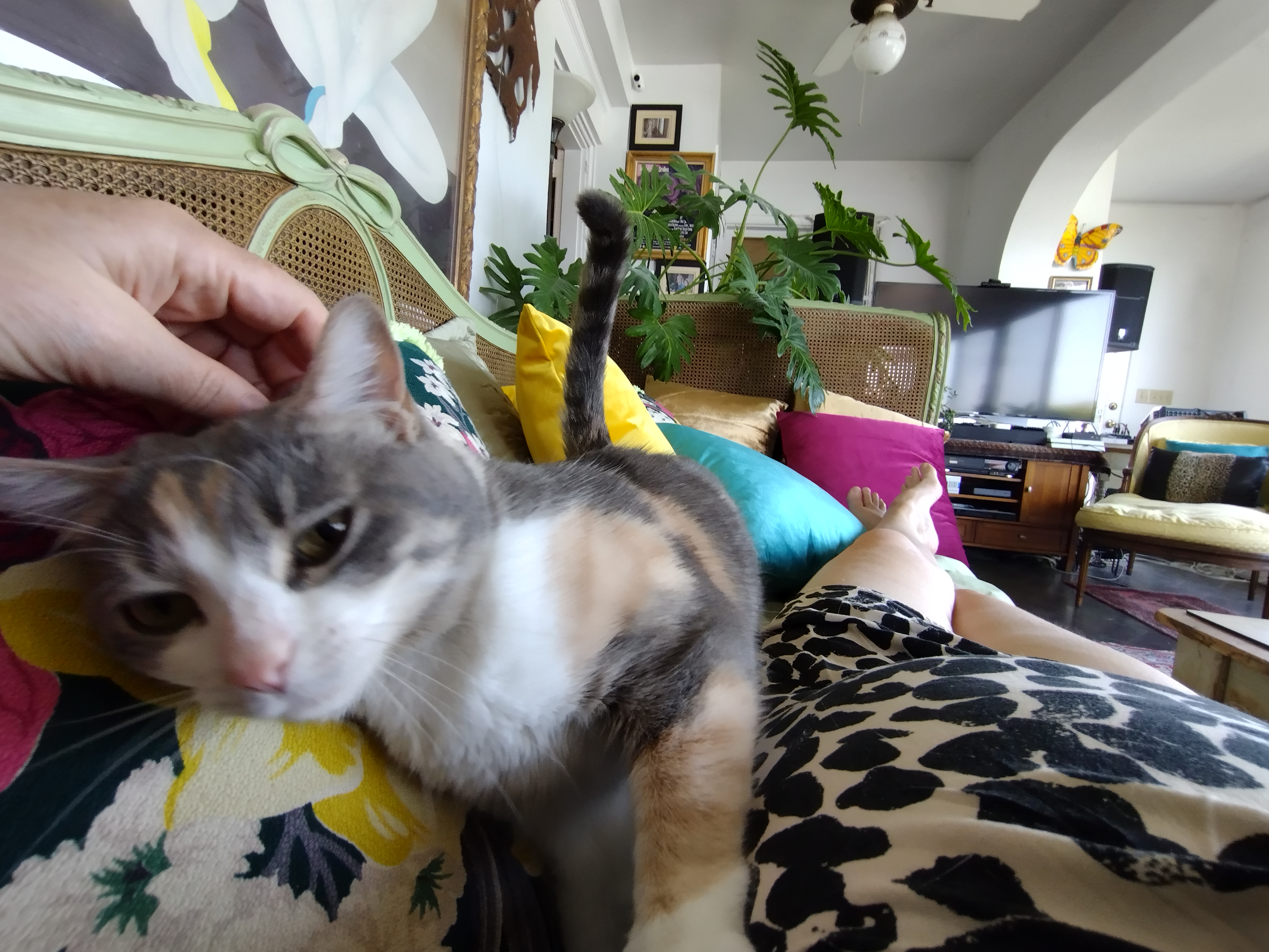 image-8