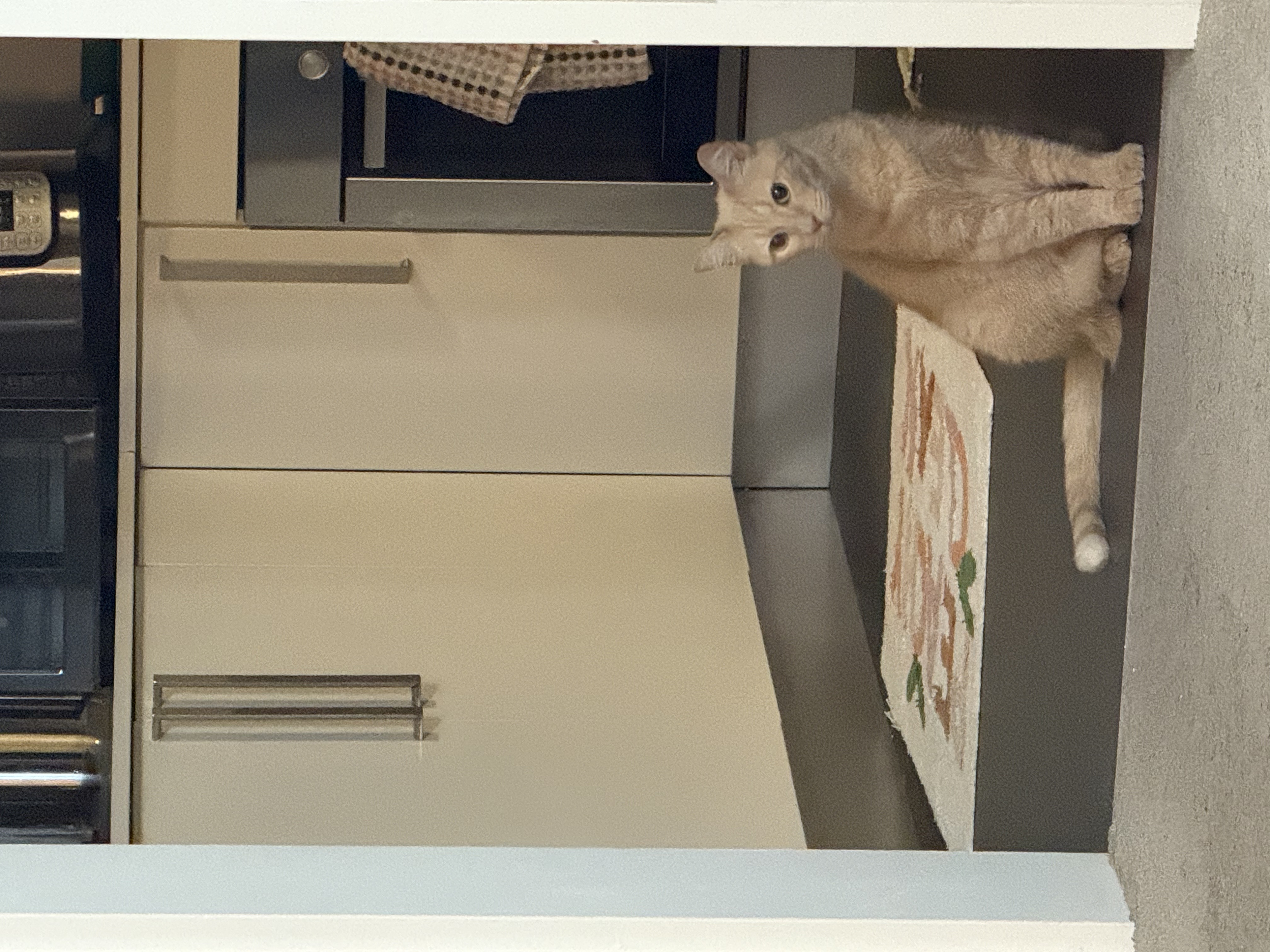 image-8