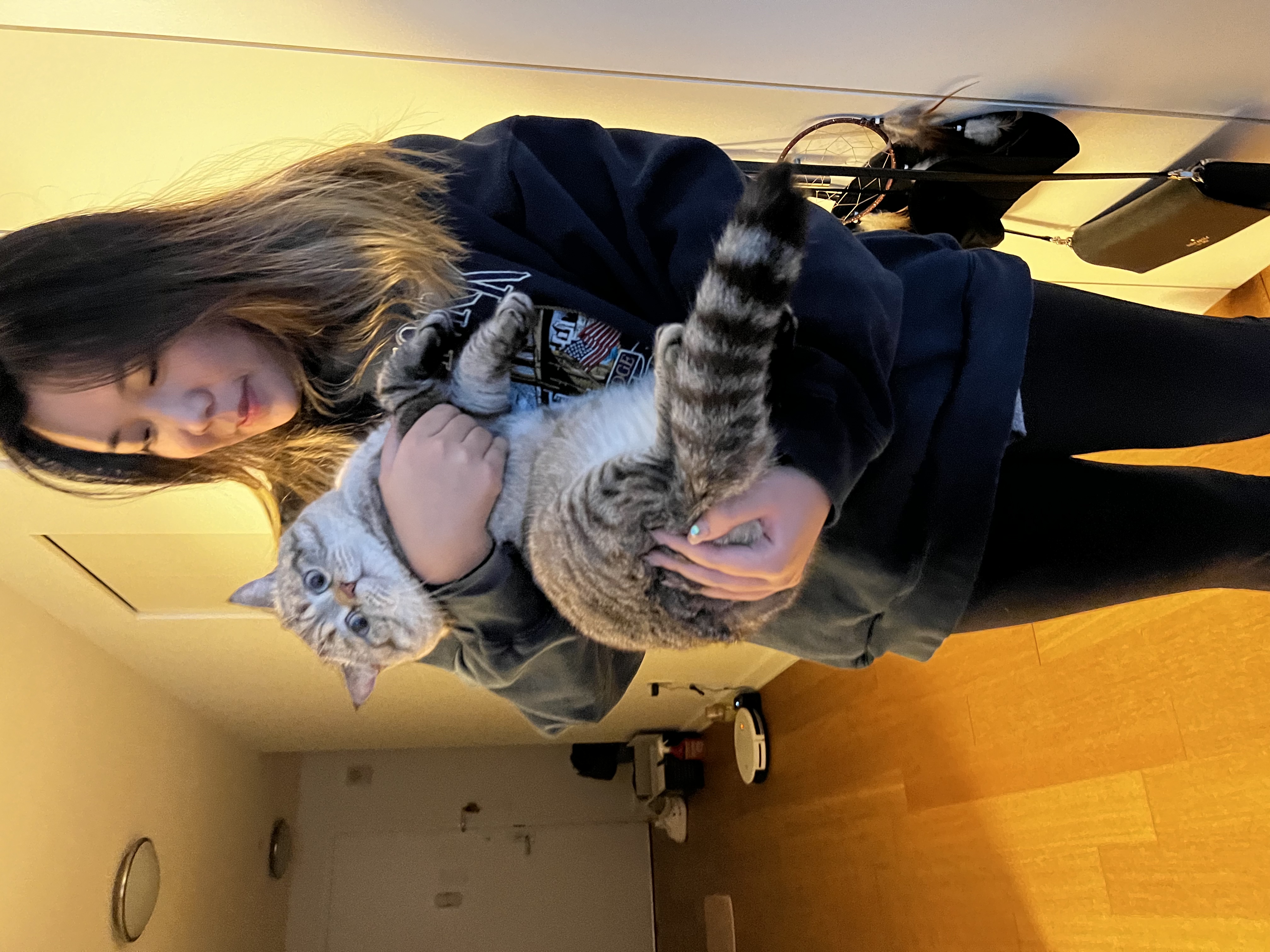image-2