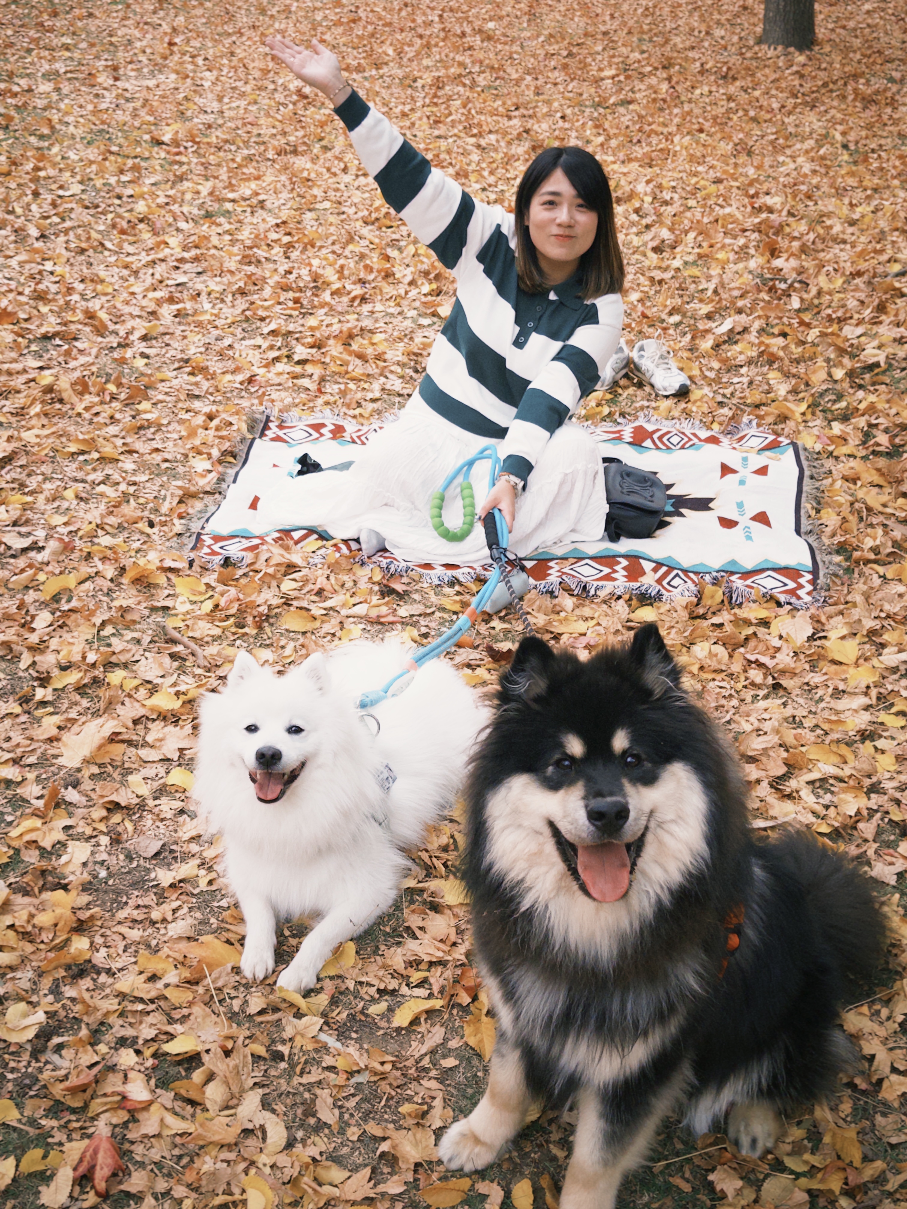 image-8