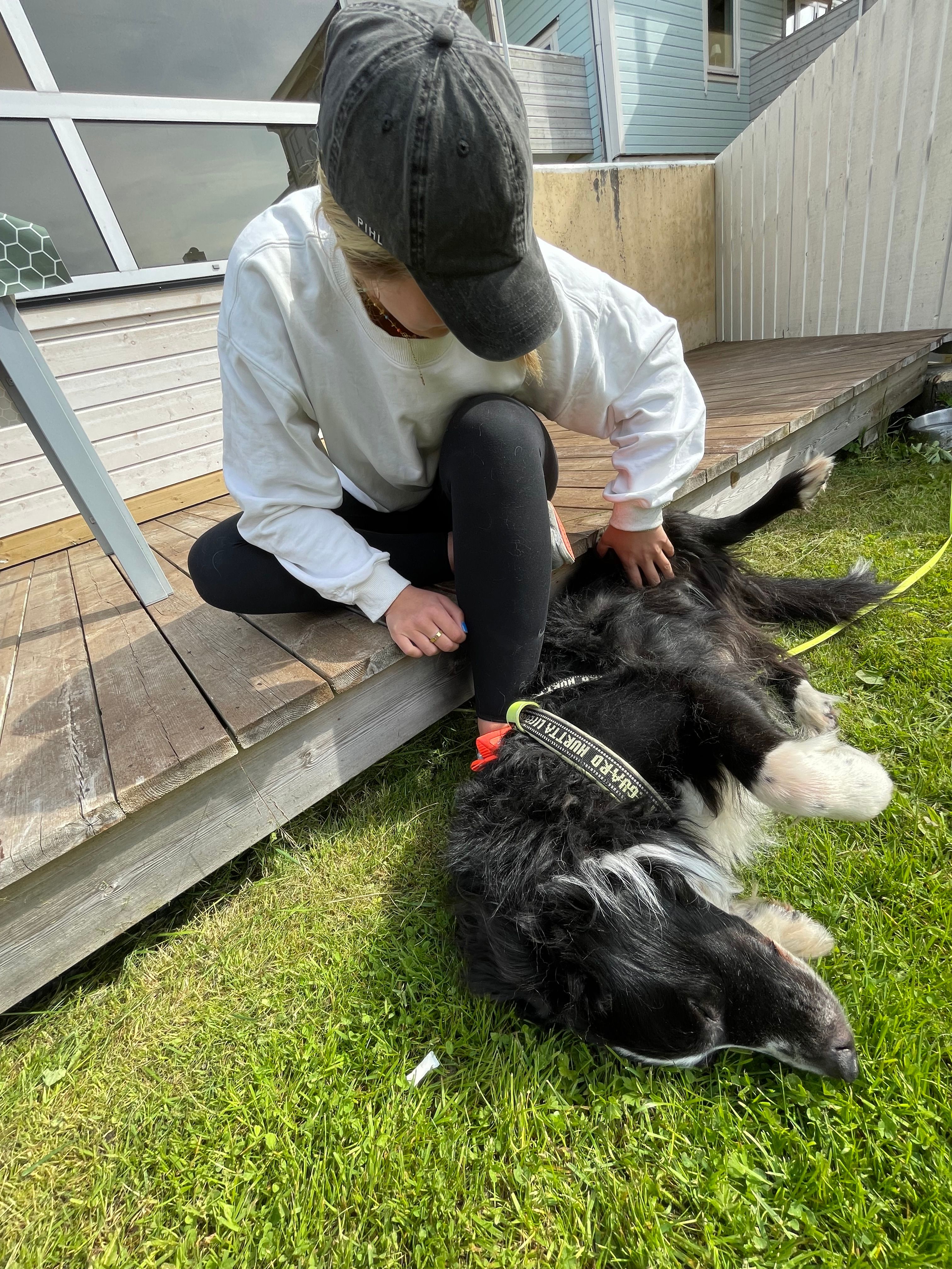 image-4