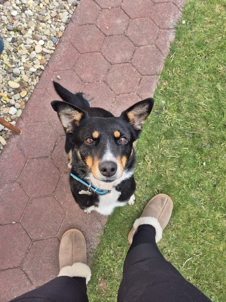 Tina