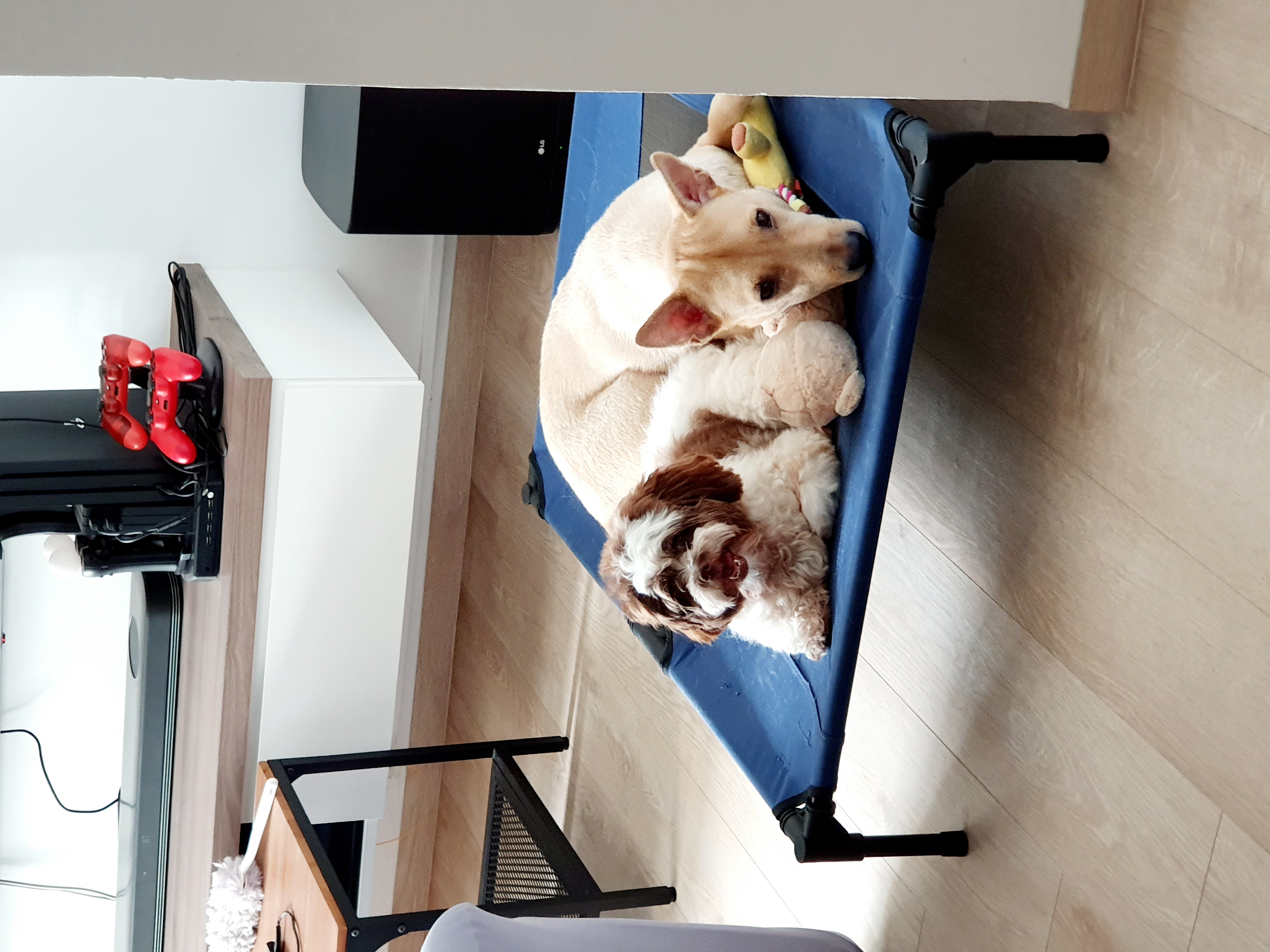 image-7