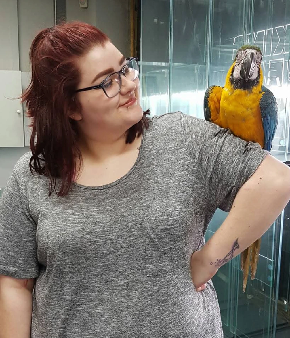 image-0