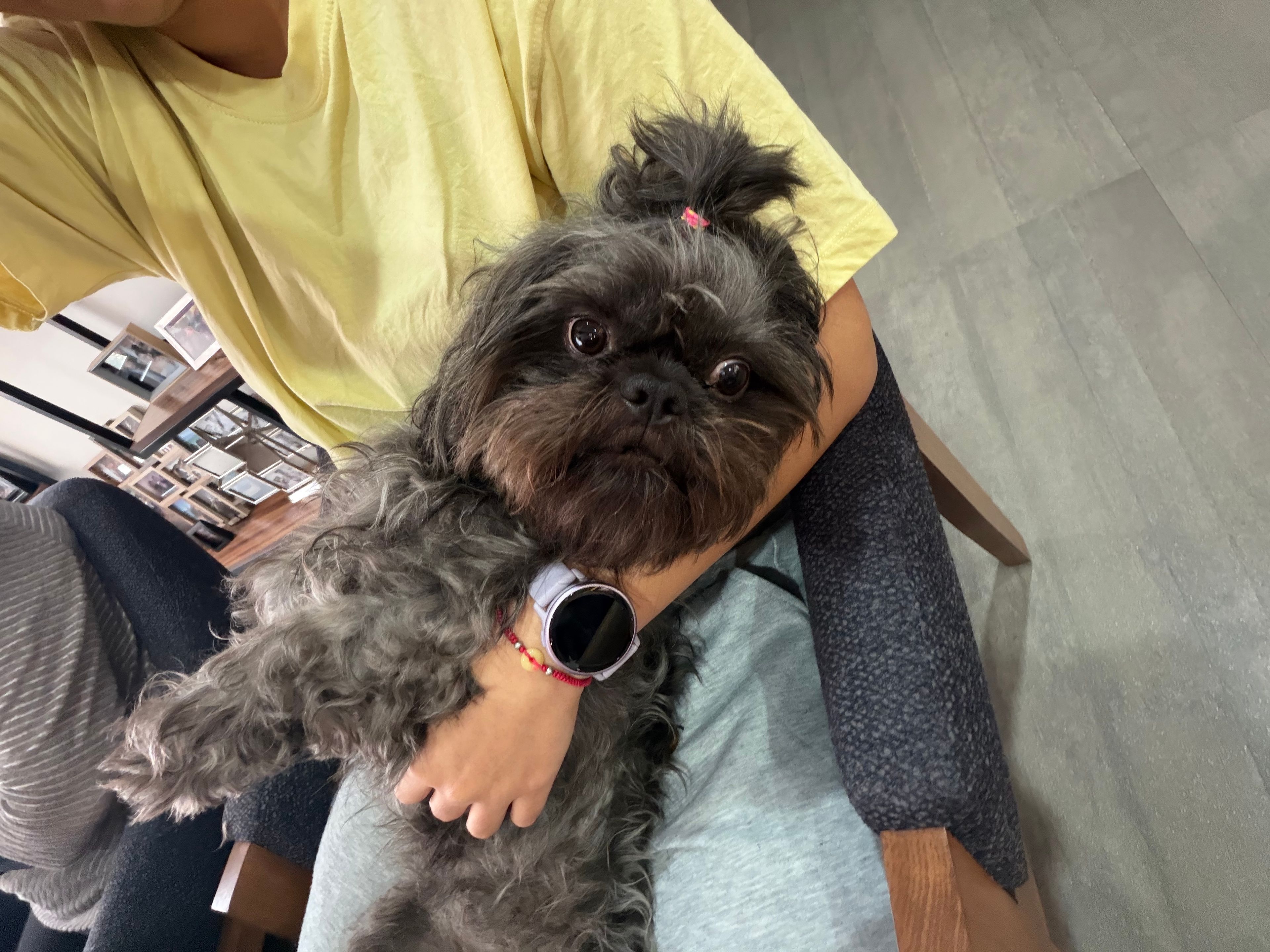 image-8
