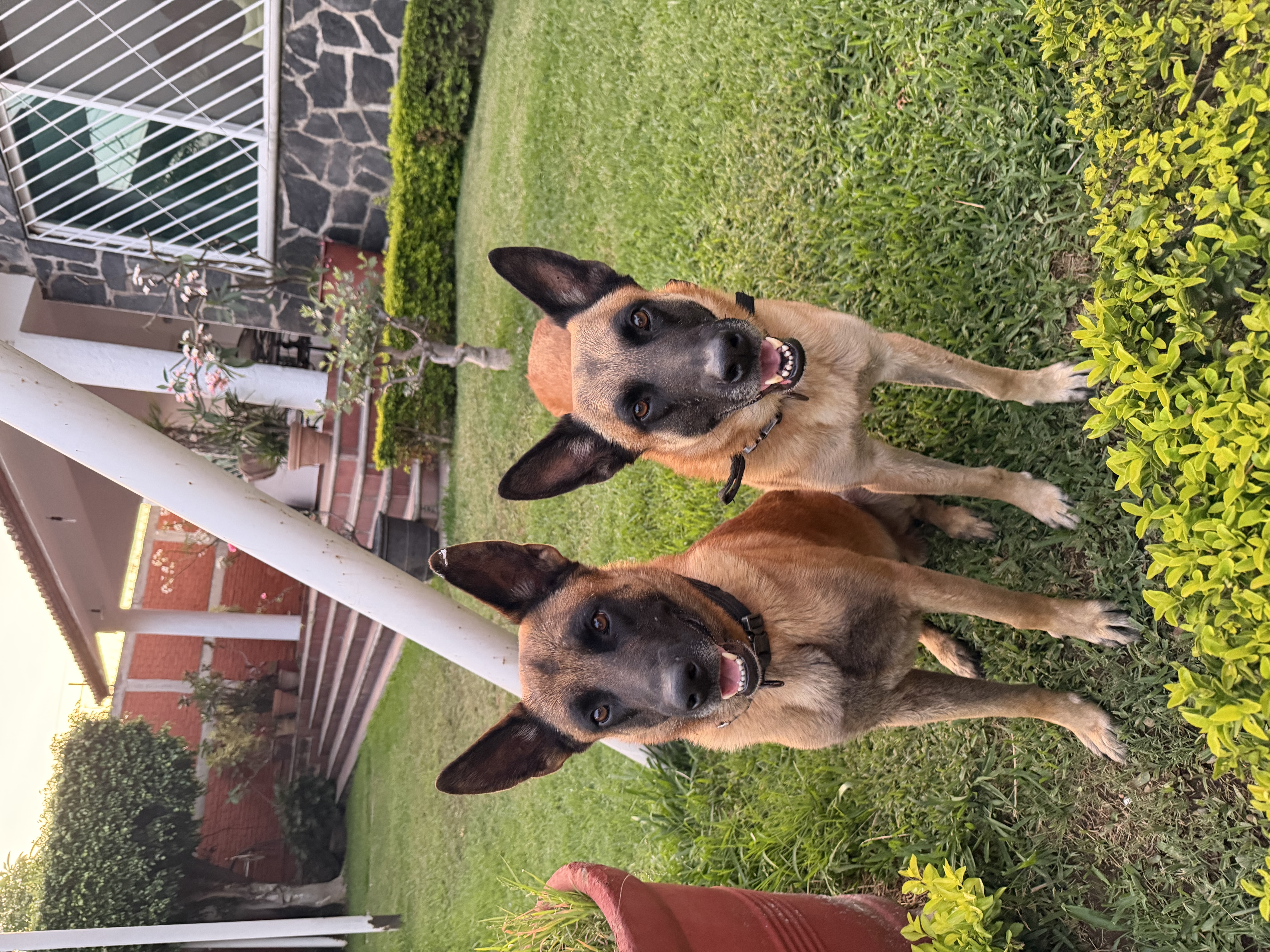 image-7
