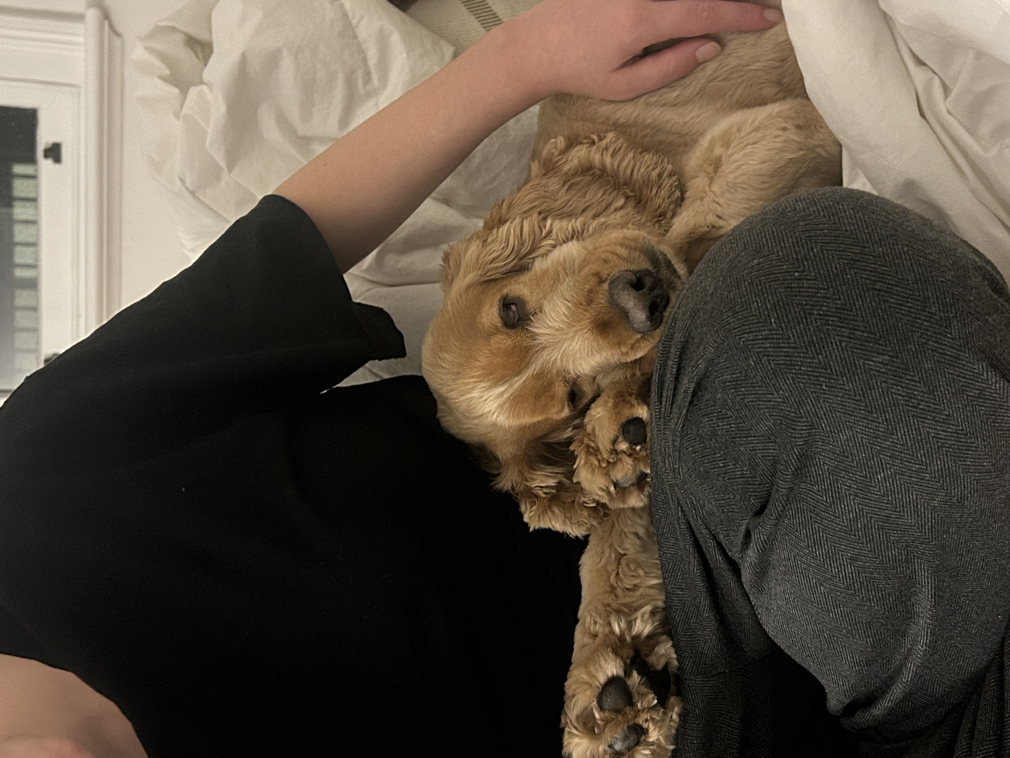 image-9