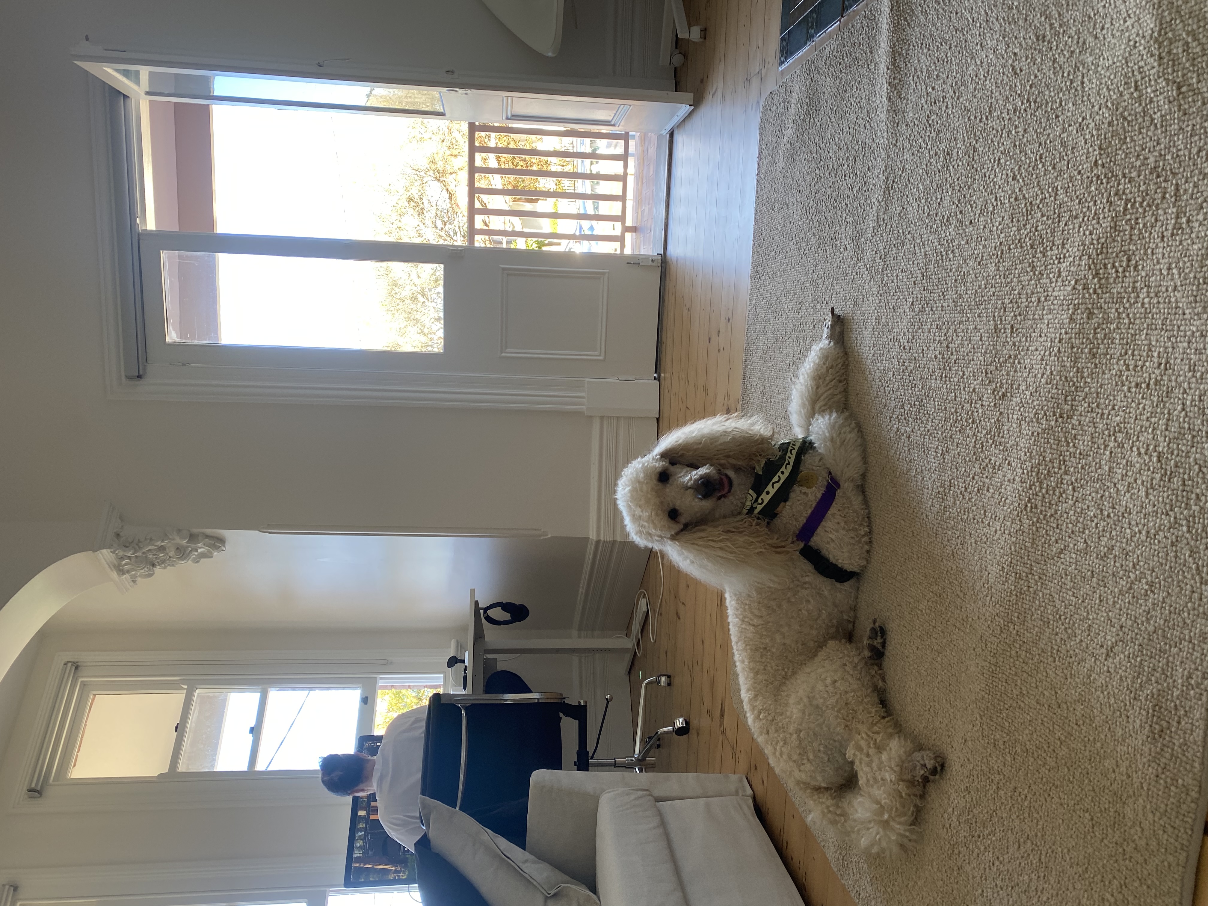 image-10
