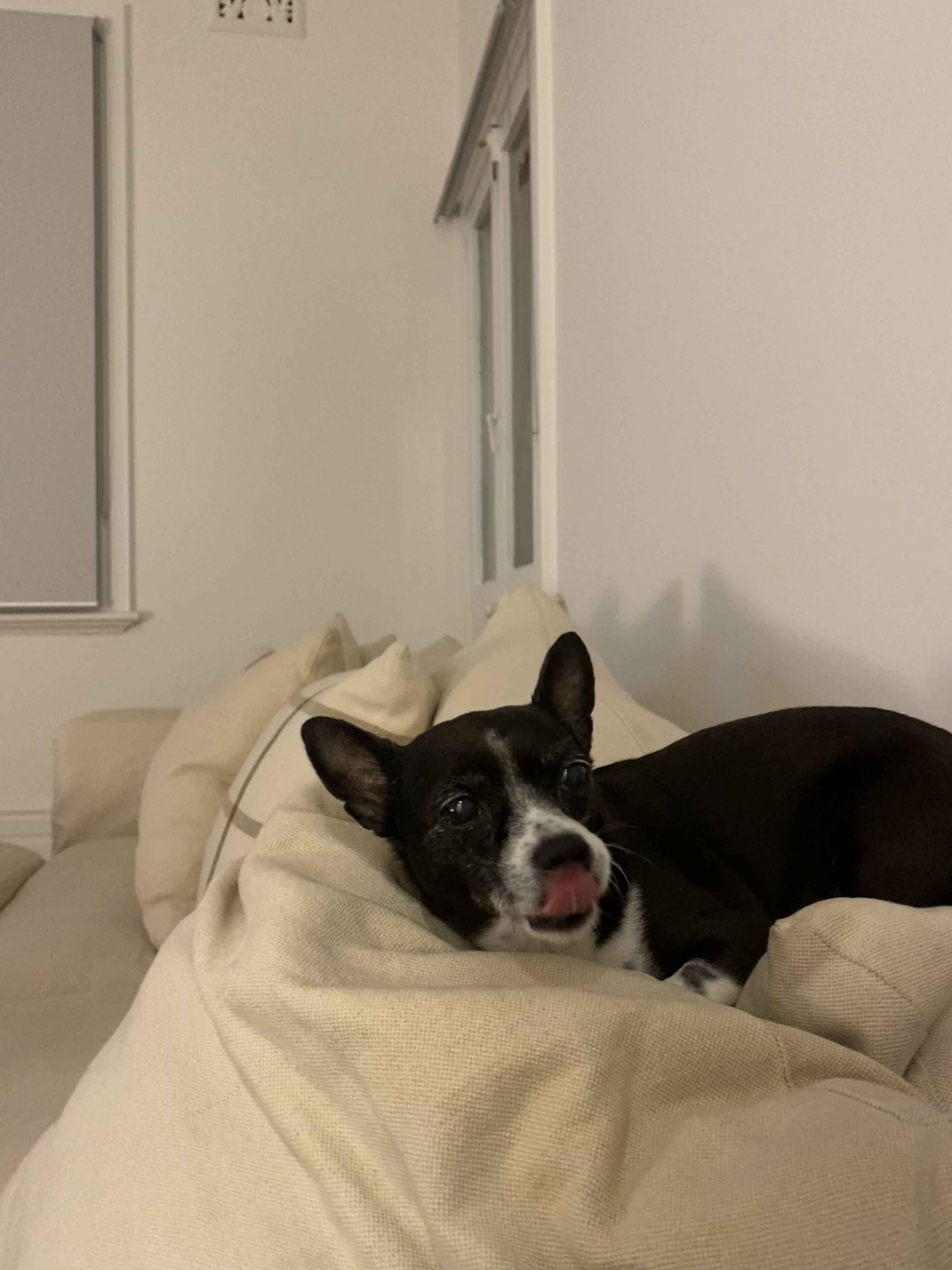 image-7